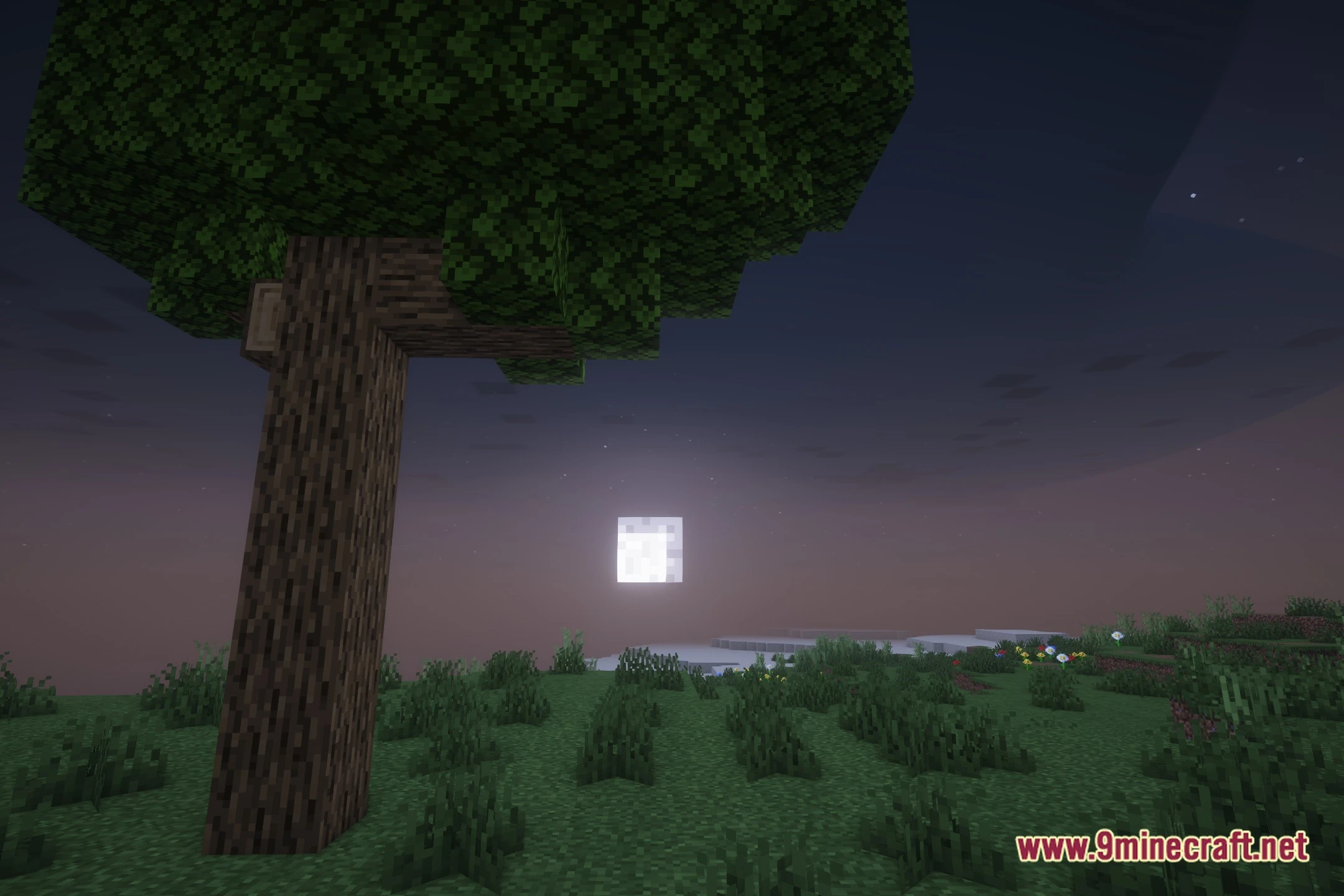 LumaVox Shaders (26.2, 1.20.1) – Soft Shadows and Water Reflections — screenshot 4