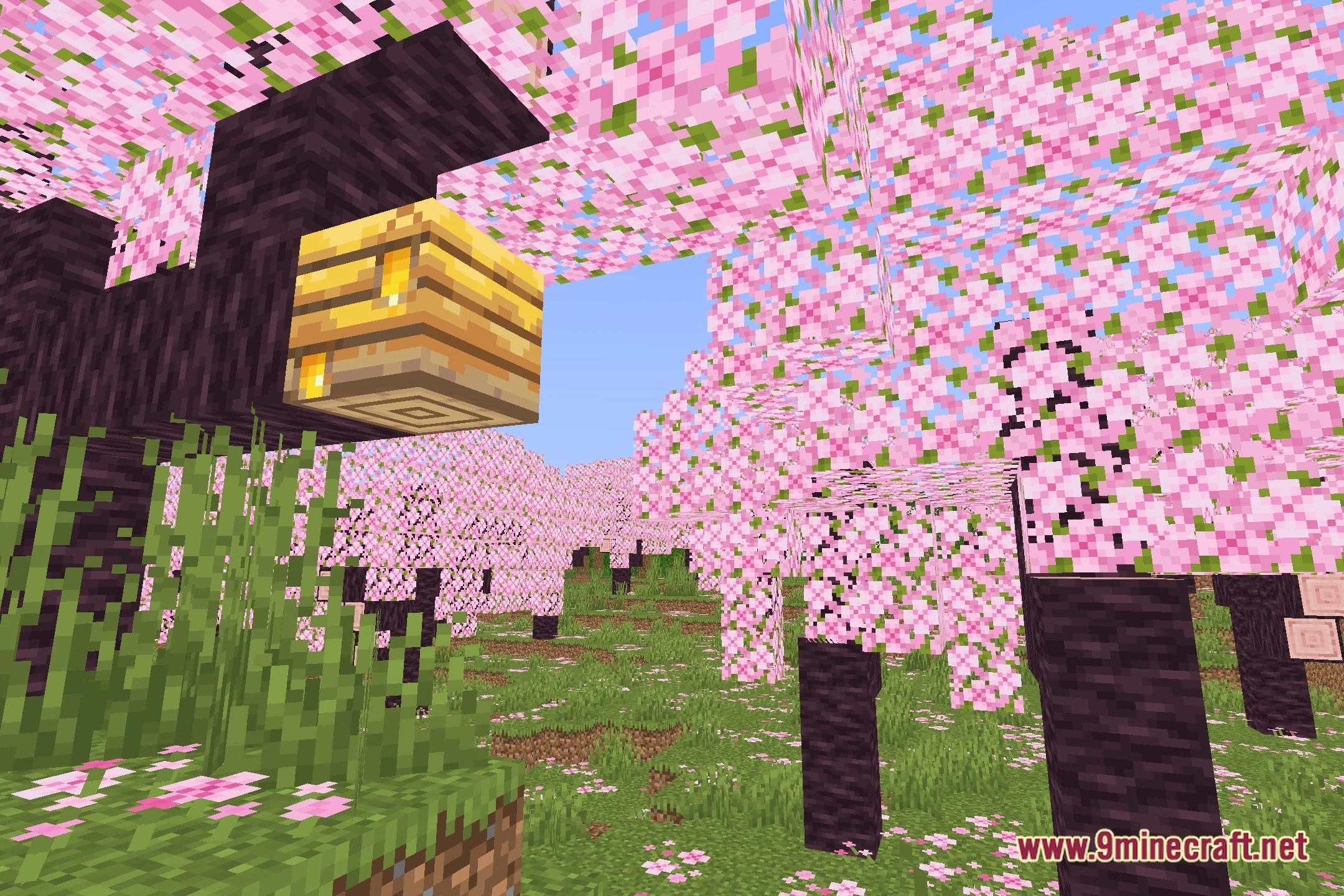 Lumen_NM Shaders (26.2, 1.20.1) – Clean Water and Crisp Lighting — screenshot 1