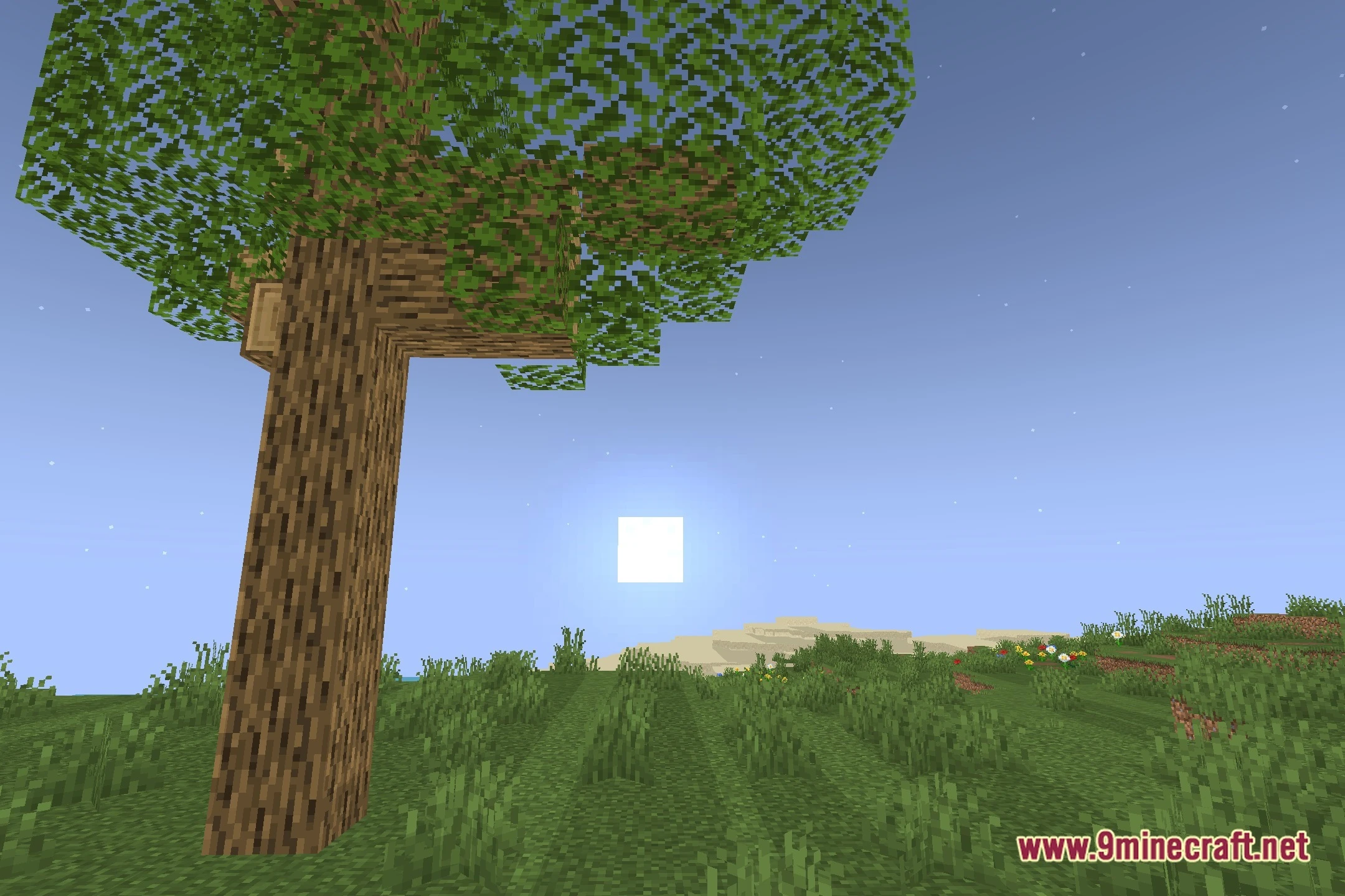 Lumen_NM Shaders (26.2, 1.20.1) – Clean Water and Crisp Lighting — screenshot 4