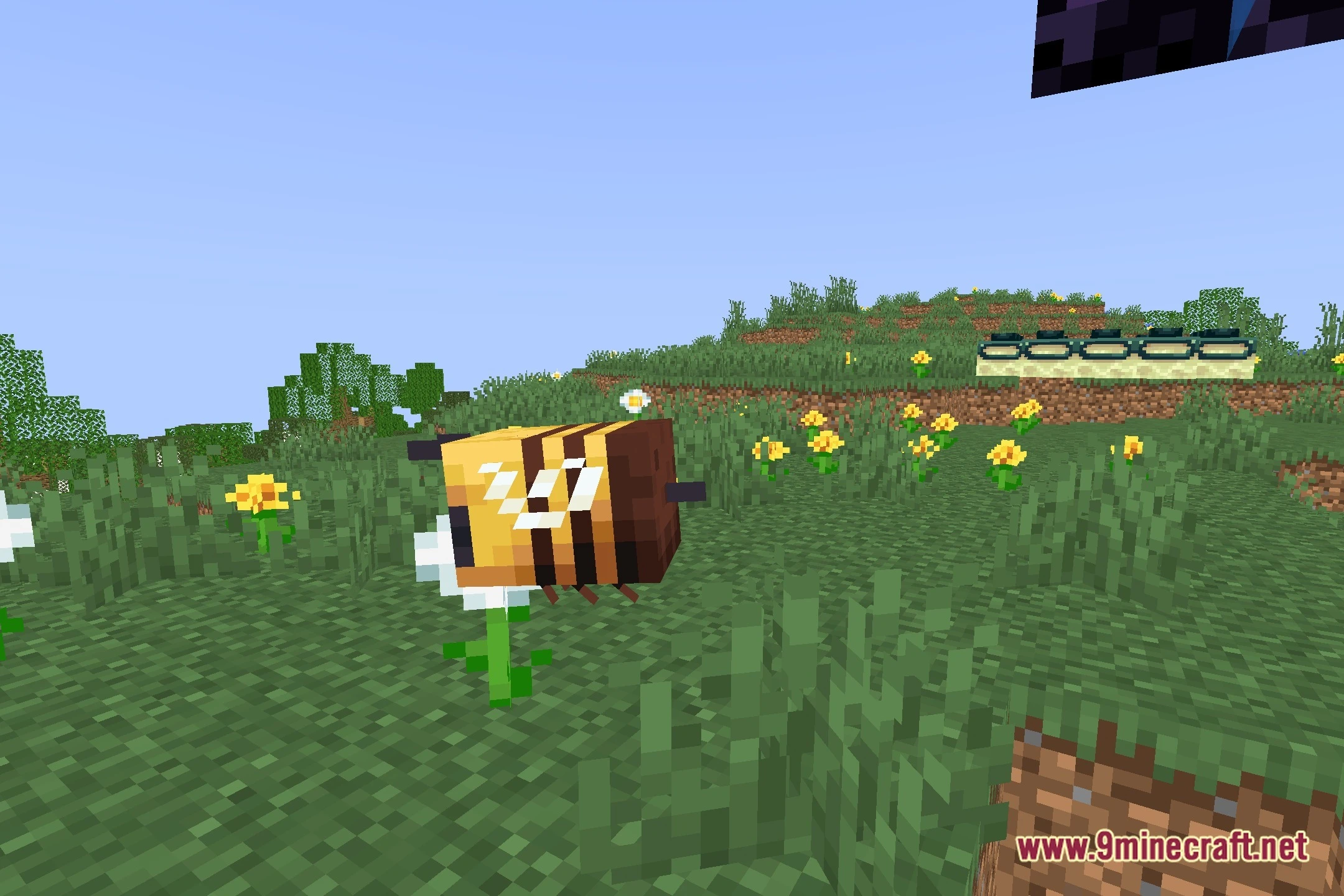 Lumen_NM Shaders (26.2, 1.20.1) – Clean Water and Crisp Lighting — screenshot 5