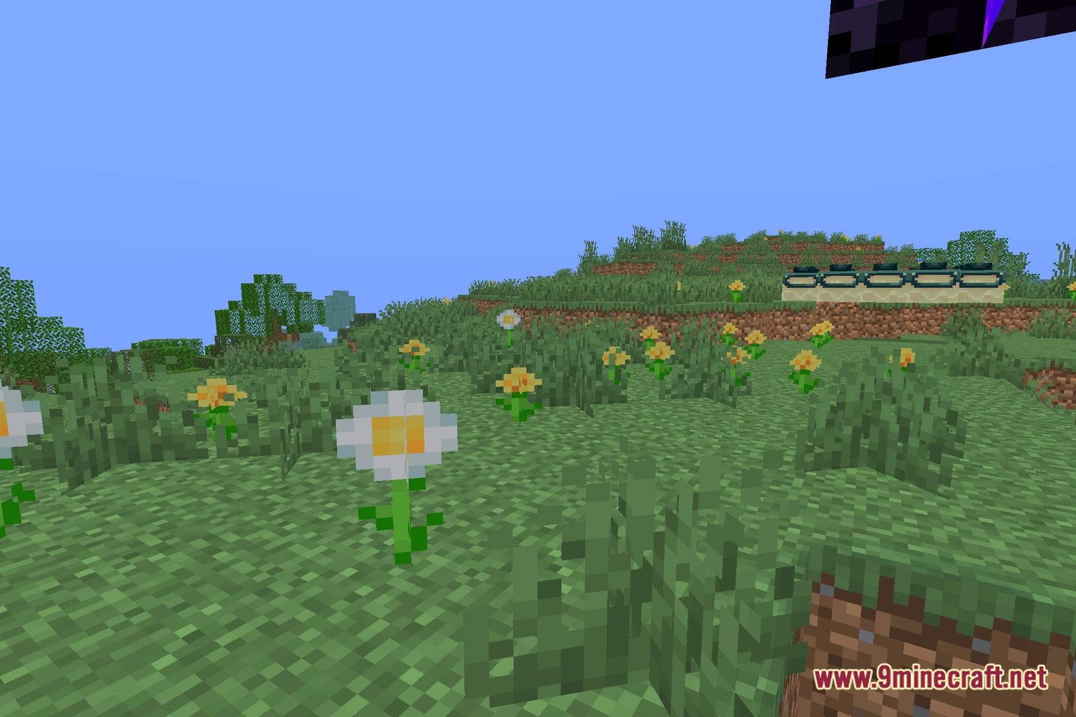 Luxor Low End Shaders (26.2, 1.20.1) – Lagless Lighting and Clear Water — screenshot 5
