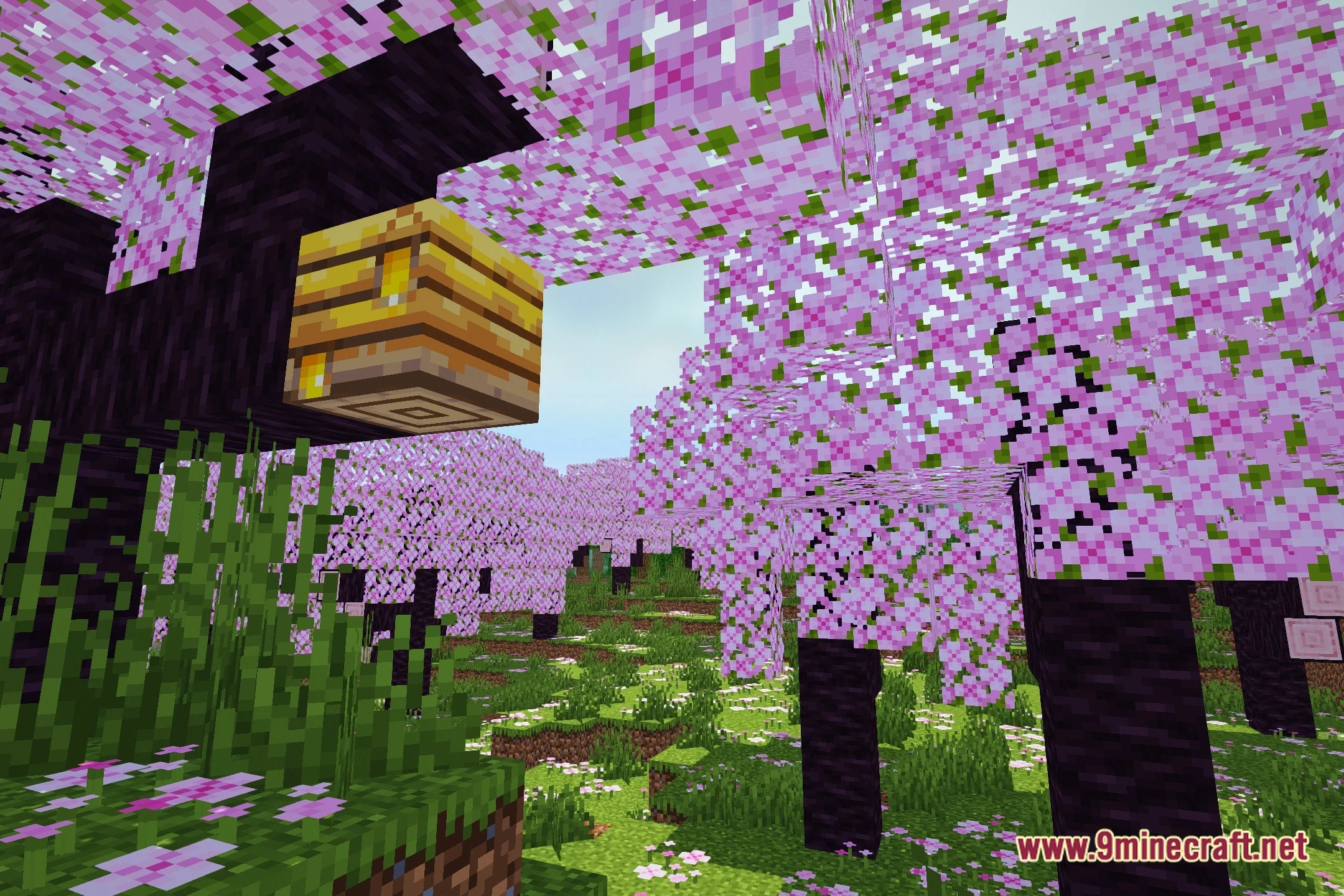 MCL Shaders (26.2, 1.20.1) – Colored Block Lighting and Water Reflections — screenshot 1