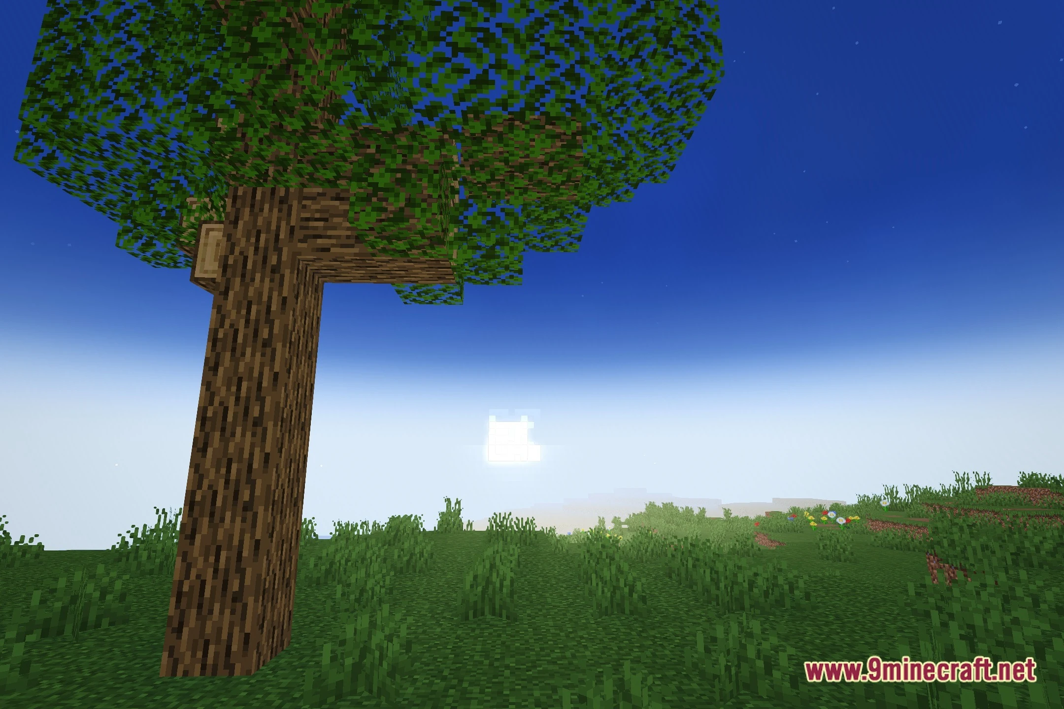 MCL Shaders (26.2, 1.20.1) – Colored Block Lighting and Water Reflections — screenshot 4