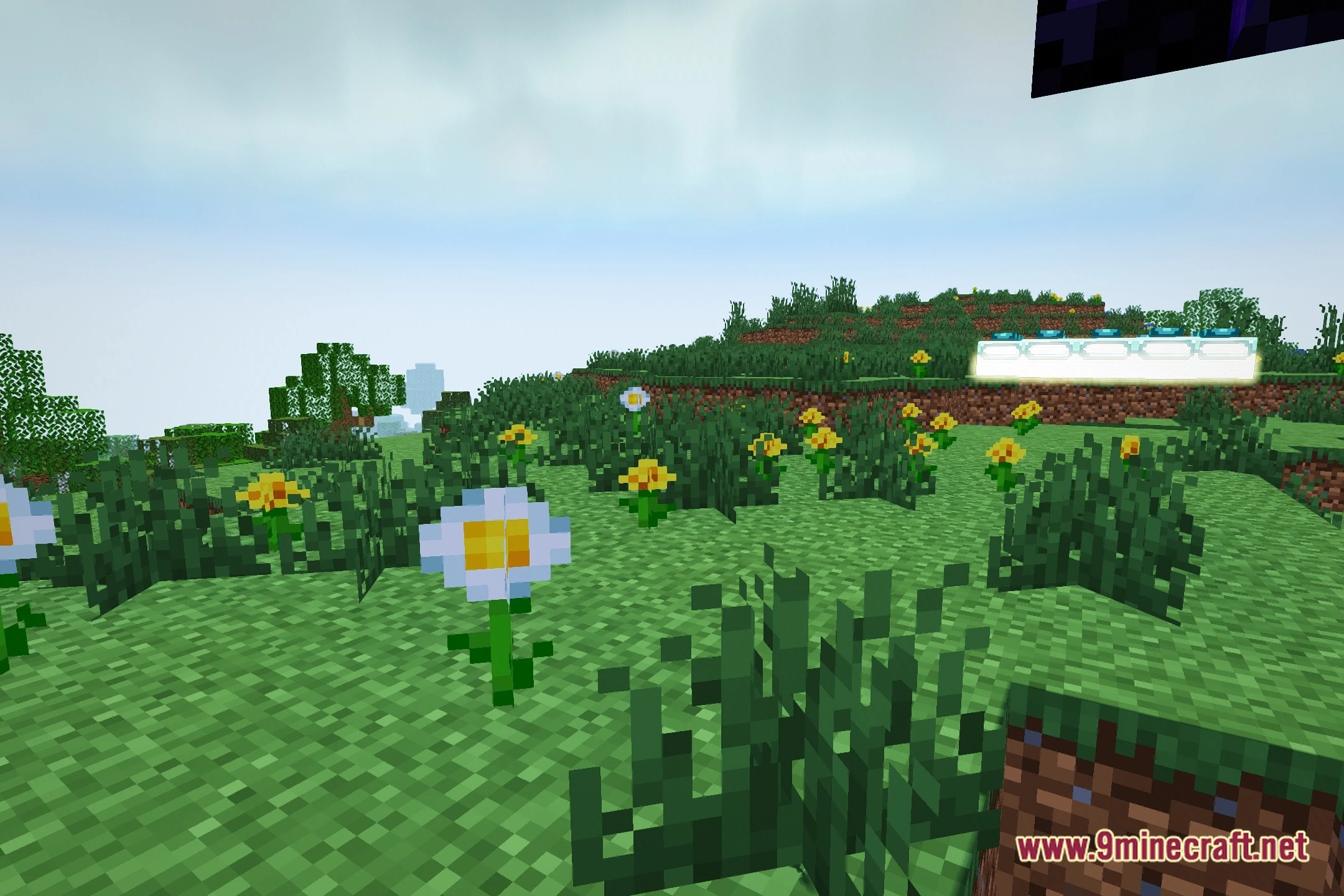 MCL Shaders (26.2, 1.20.1) – Colored Block Lighting and Water Reflections — screenshot 5