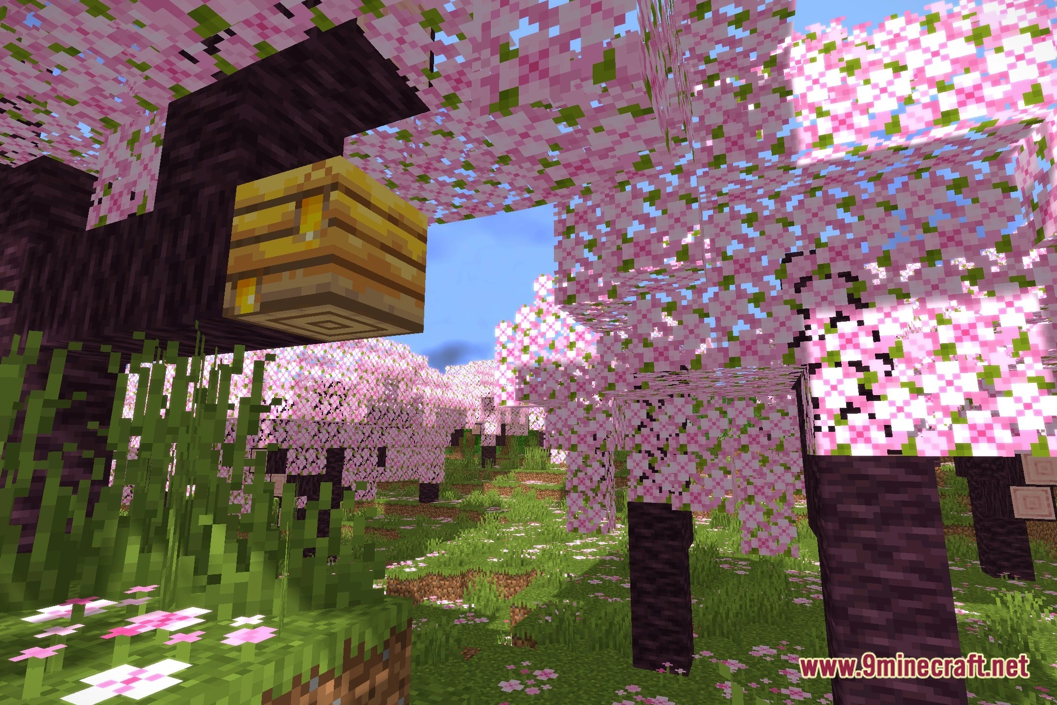 OZZA Shaders (26.2, 1.20.1) – Soft Shadows and Clear Water Reflections — screenshot 1
