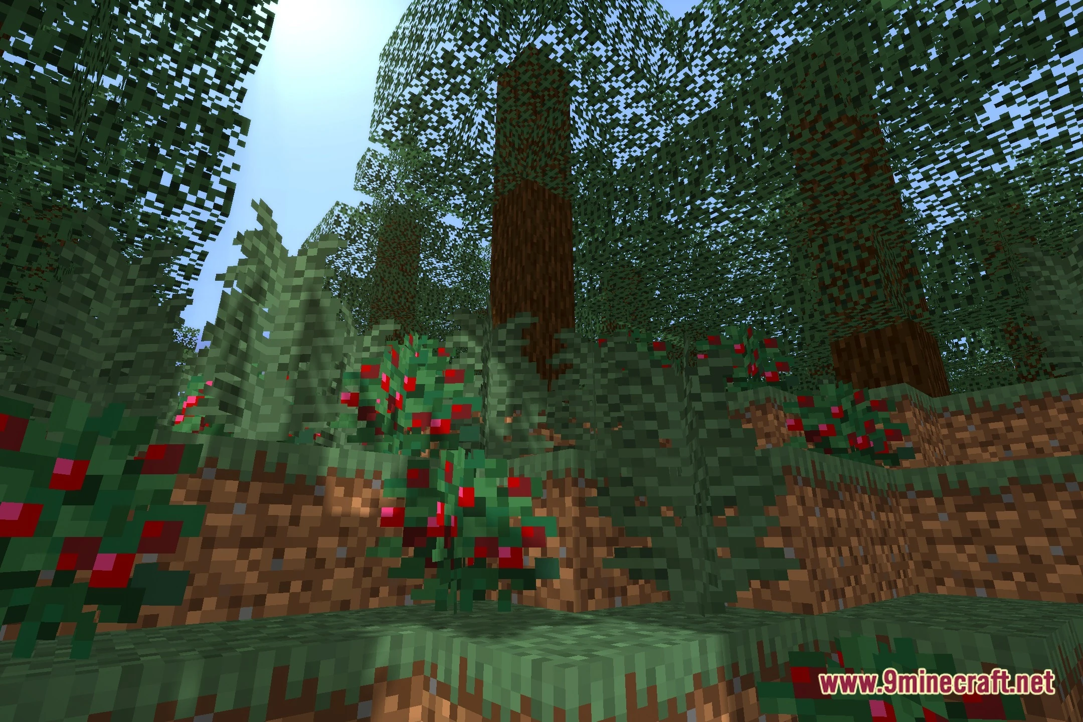OZZA Shaders Screenshot 12