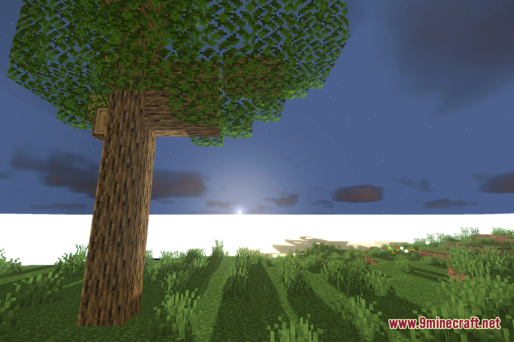 OZZA Shaders (26.2, 1.20.1) – Soft Shadows and Clear Water Reflections — screenshot 4