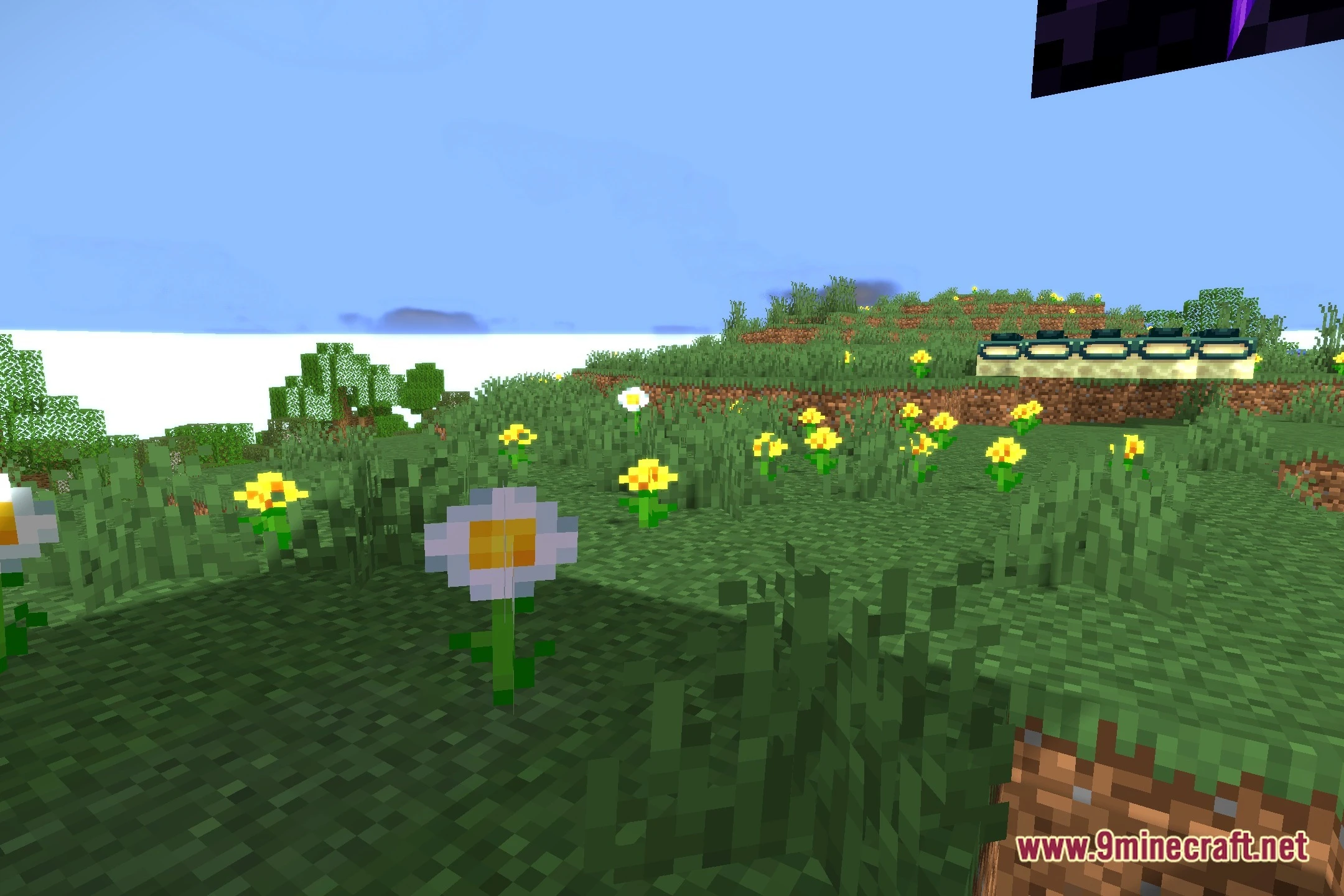 OZZA Shaders (26.2, 1.20.1) – Soft Shadows and Clear Water Reflections — screenshot 5