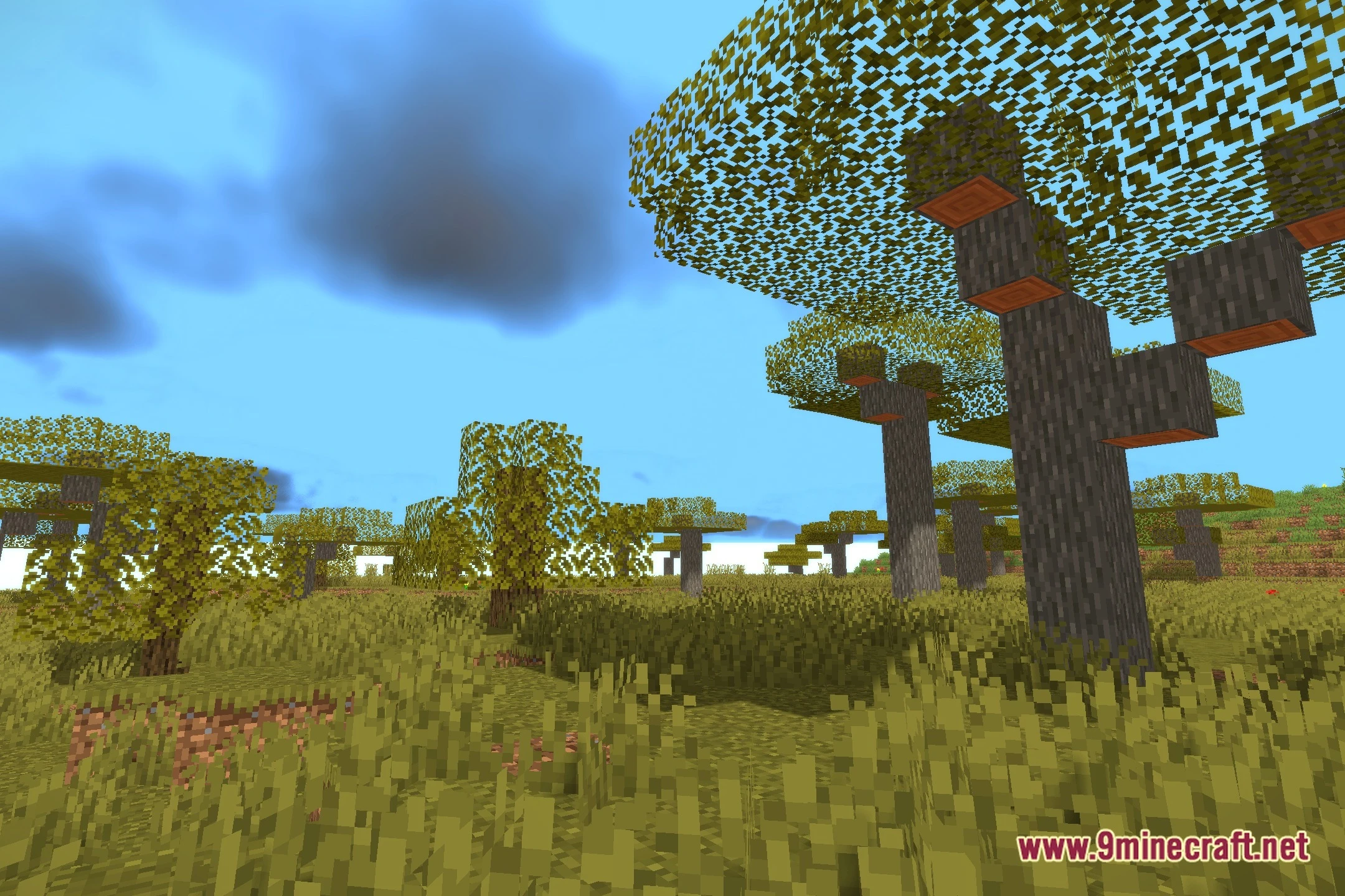 OZZA Shaders (26.2, 1.20.1) – Soft Shadows and Clear Water Reflections — screenshot 8