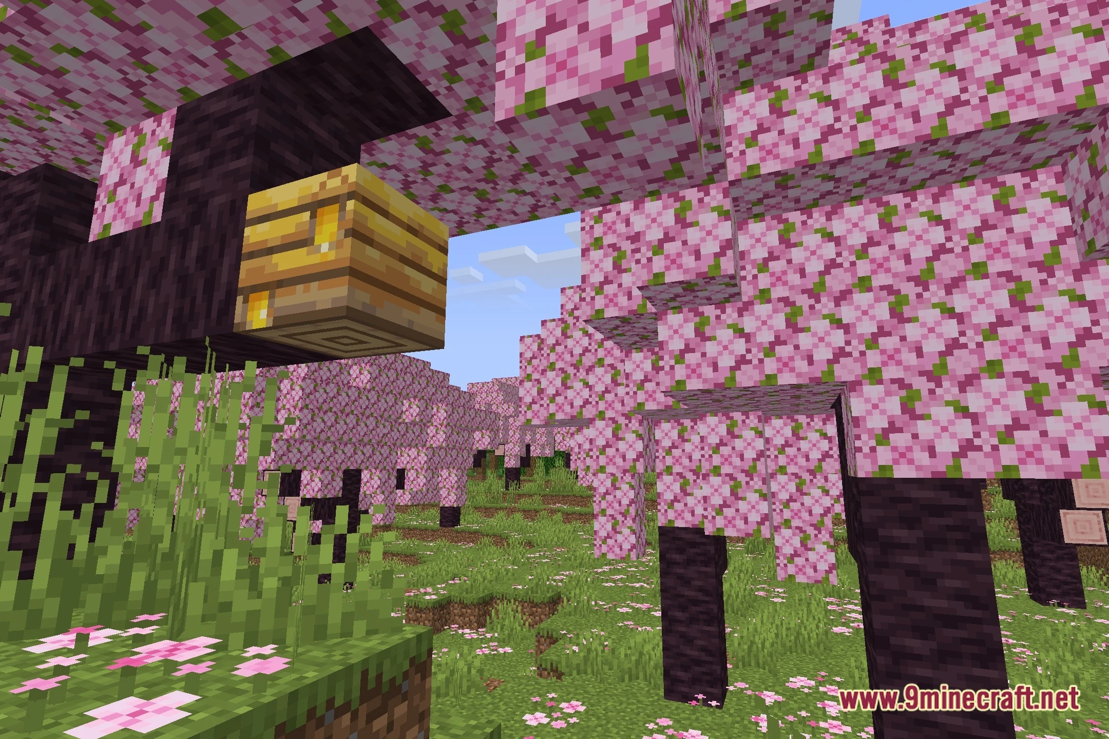 PS Vibe Shaders (26.2, 1.20.1) – Vibrant Colored Lighting for Low-End PCs — screenshot 1