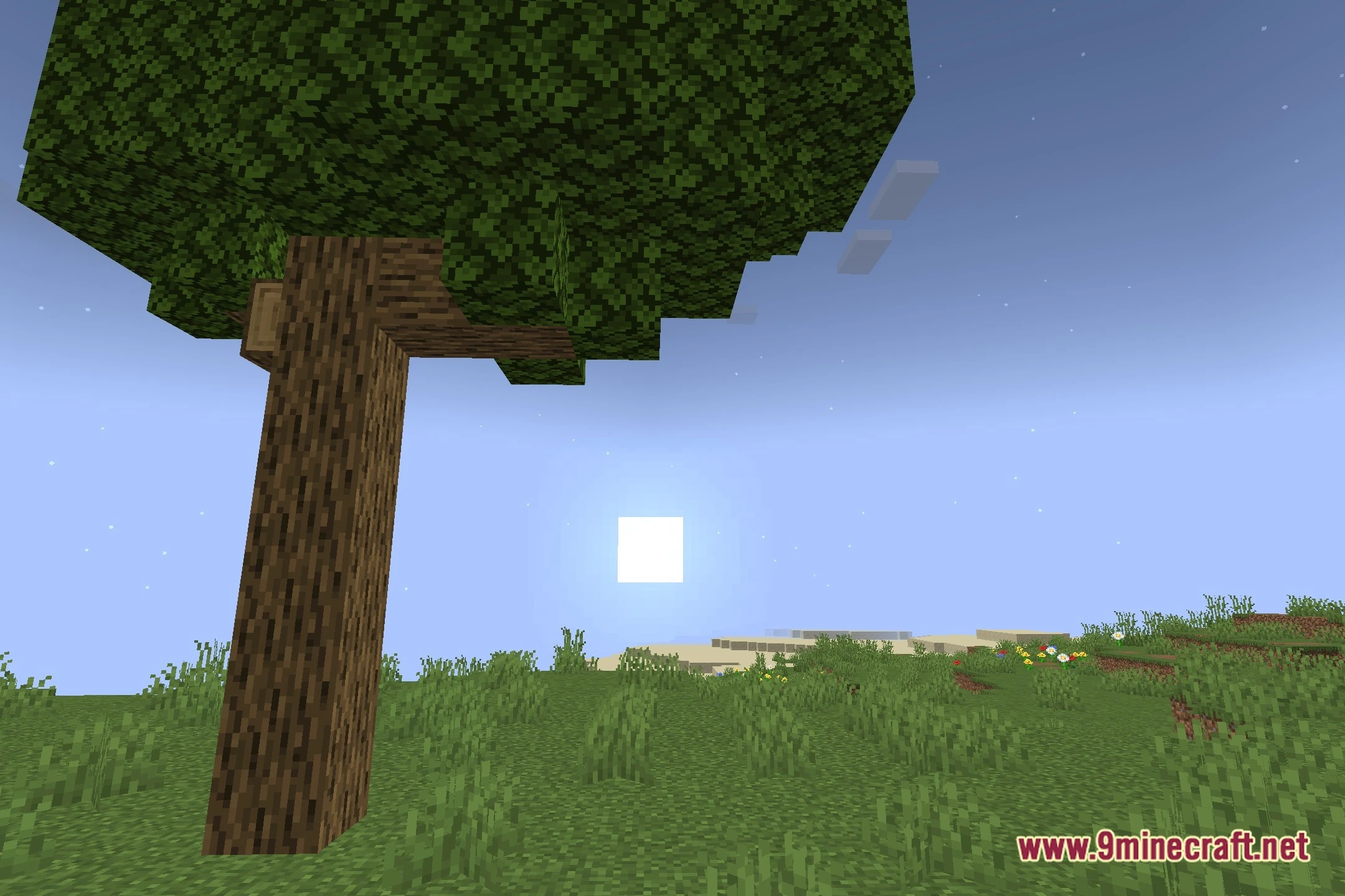 PS Vibe Shaders (26.2, 1.20.1) – Vibrant Colored Lighting for Low-End PCs — screenshot 4