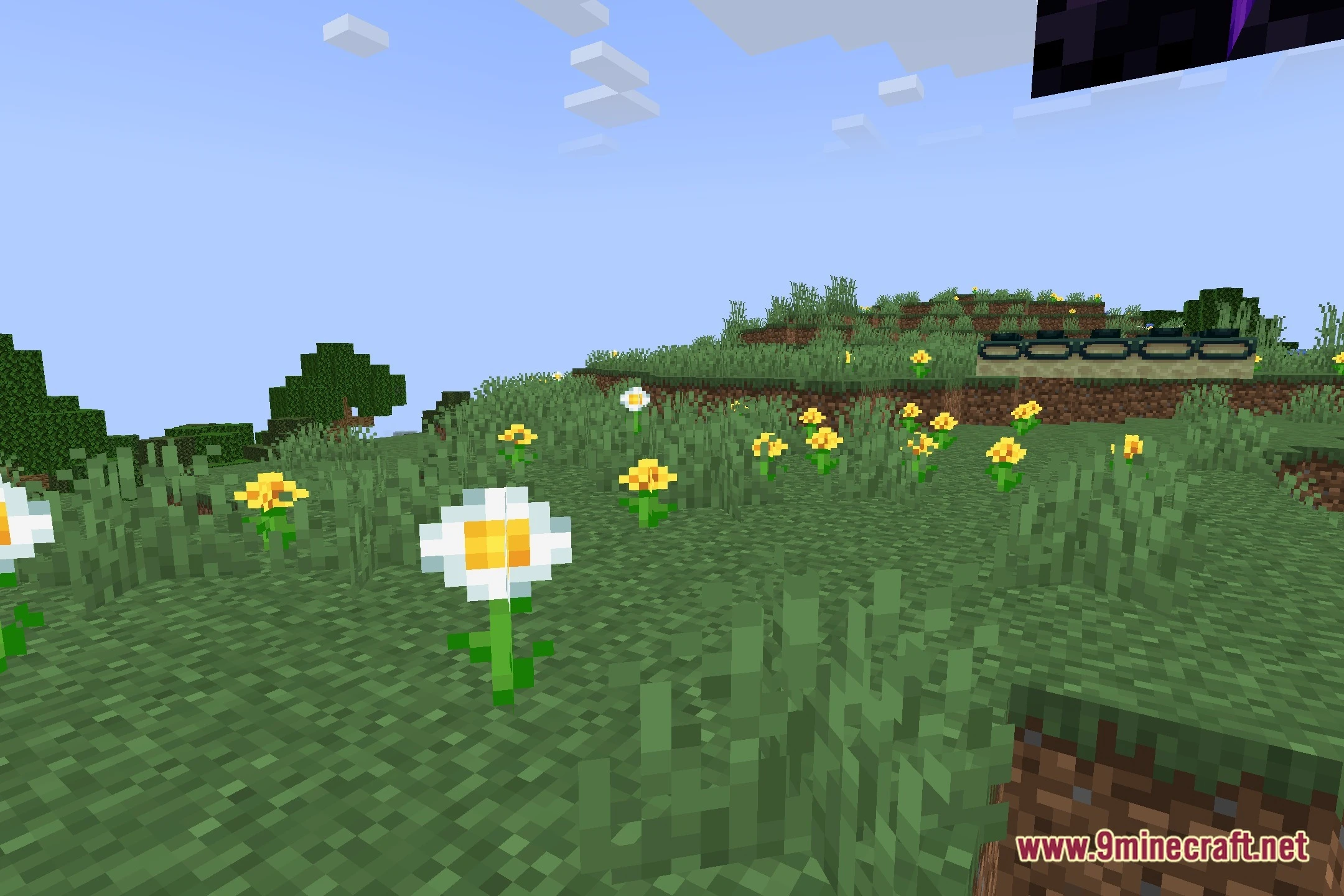 PS Vibe Shaders (26.2, 1.20.1) – Vibrant Colored Lighting for Low-End PCs — screenshot 5