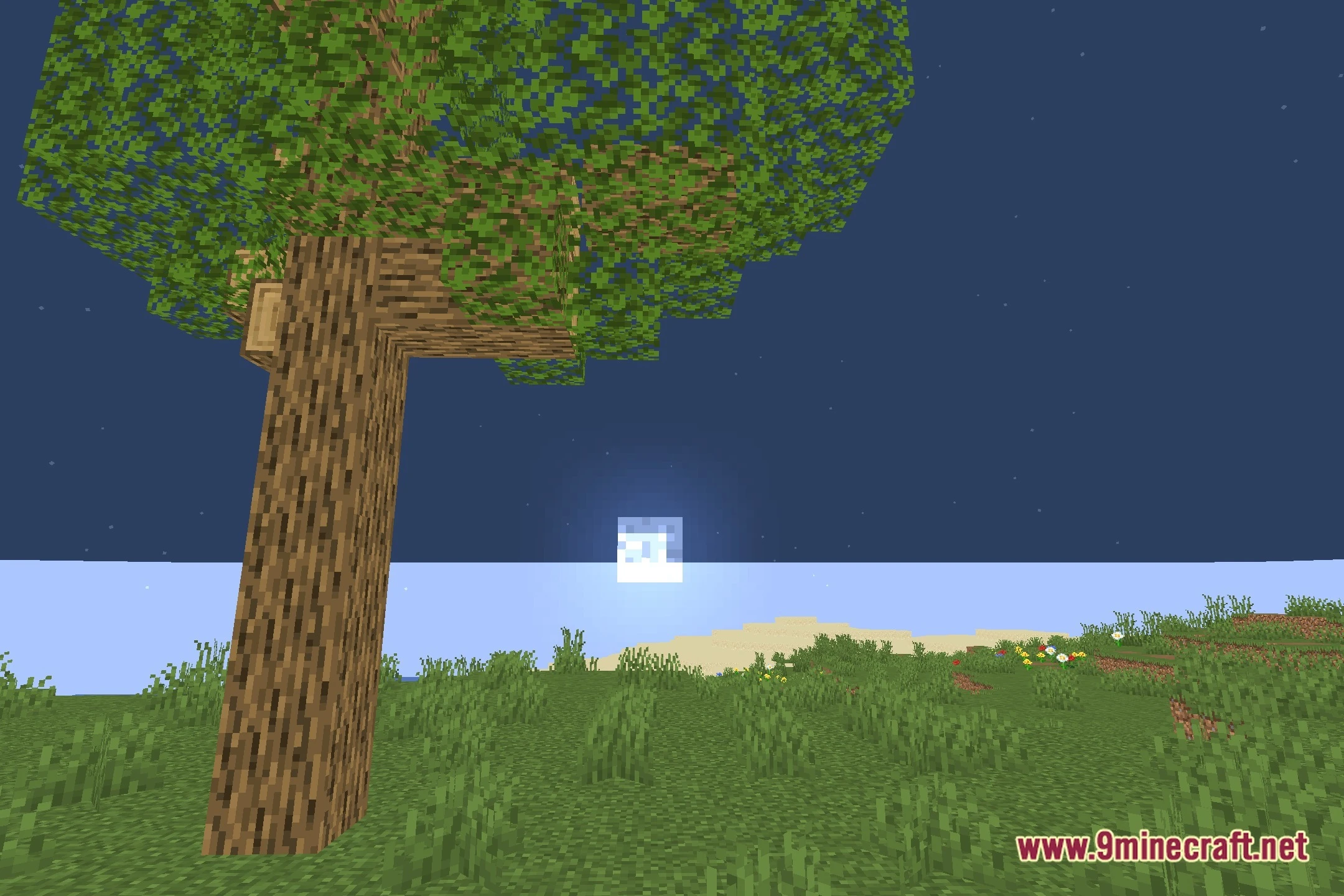 Pain Shaders (26.2, 1.20.1) – Chaotic Visual Distortions and Cursed Effects — screenshot 4