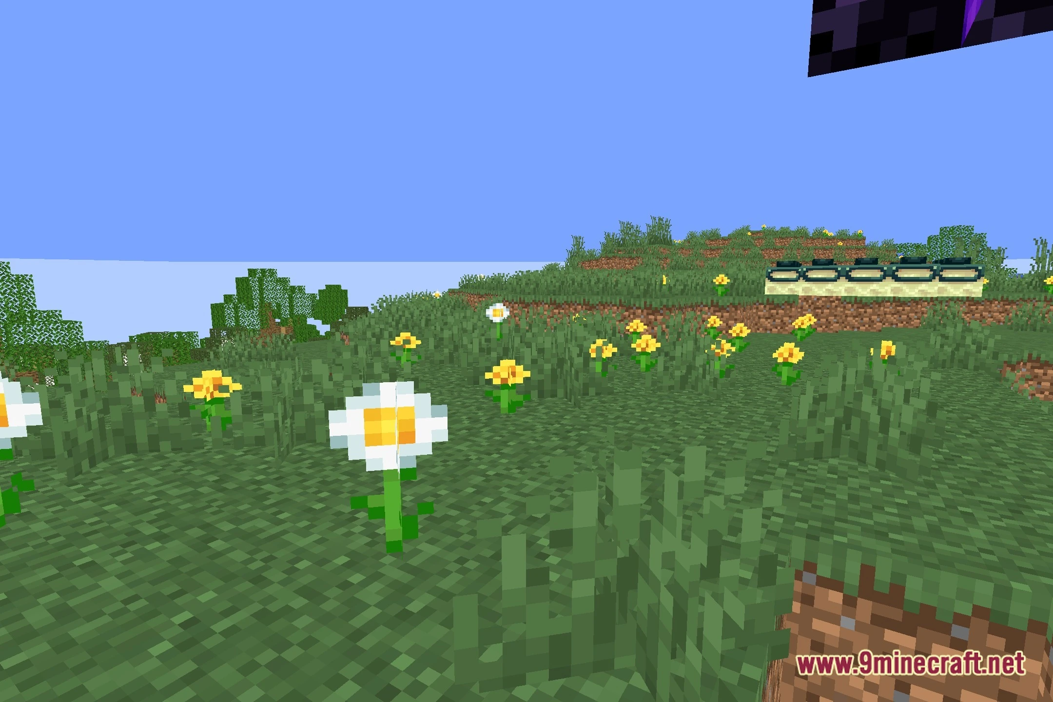 Pain Shaders (26.2, 1.20.1) – Chaotic Visual Distortions and Cursed Effects — screenshot 5