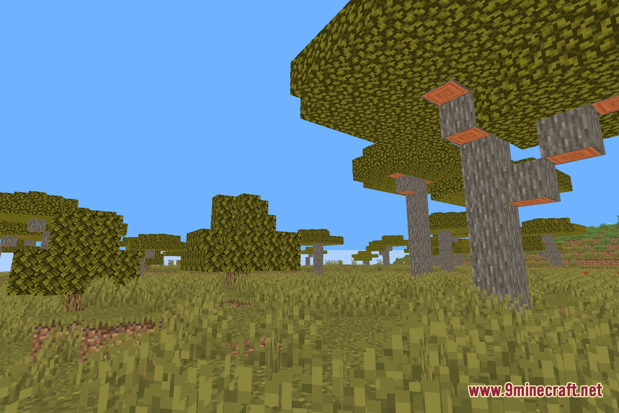 RenderKit Utilities Shaders Screenshot 12