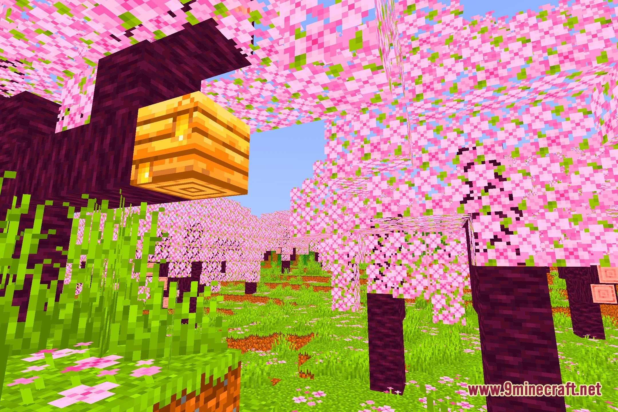SEL Shaders (26.2, 1.20.1) – Soft Fantasy Lighting for Low-End PCs — screenshot 1