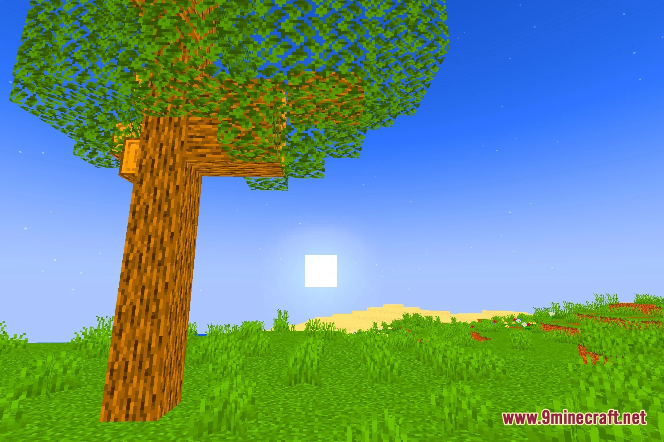 SEL Shaders (26.2, 1.20.1) – Soft Fantasy Lighting for Low-End PCs — screenshot 4