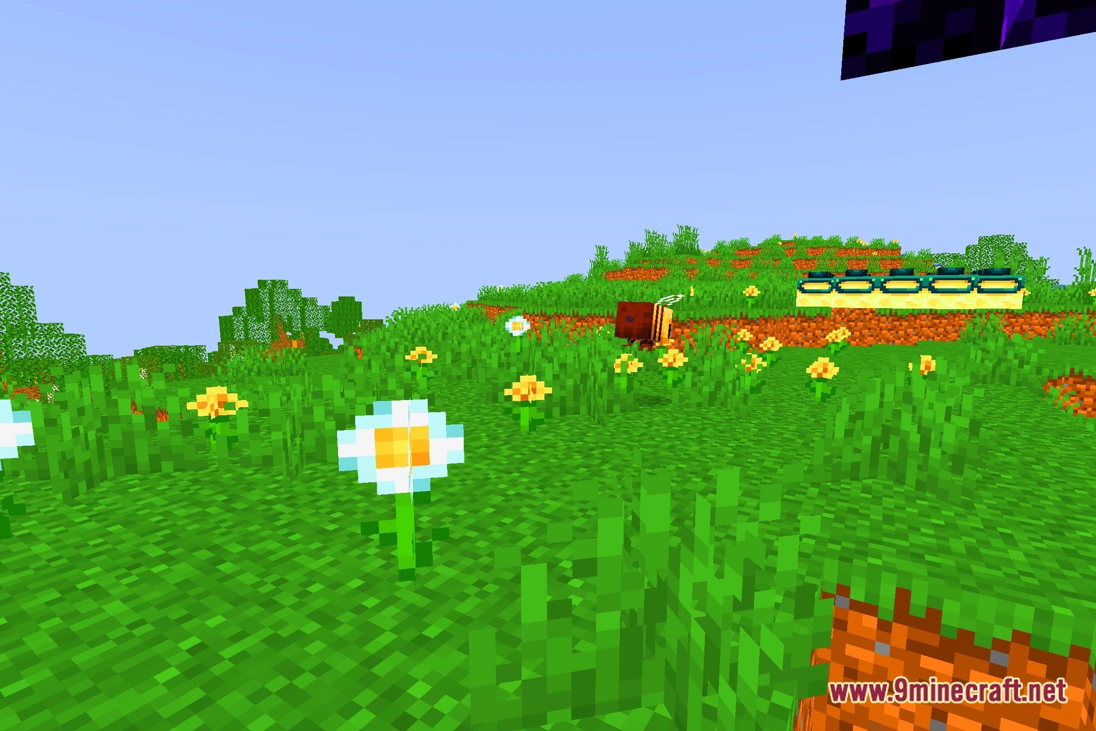 SEL Shaders (26.2, 1.20.1) – Soft Fantasy Lighting for Low-End PCs — screenshot 5