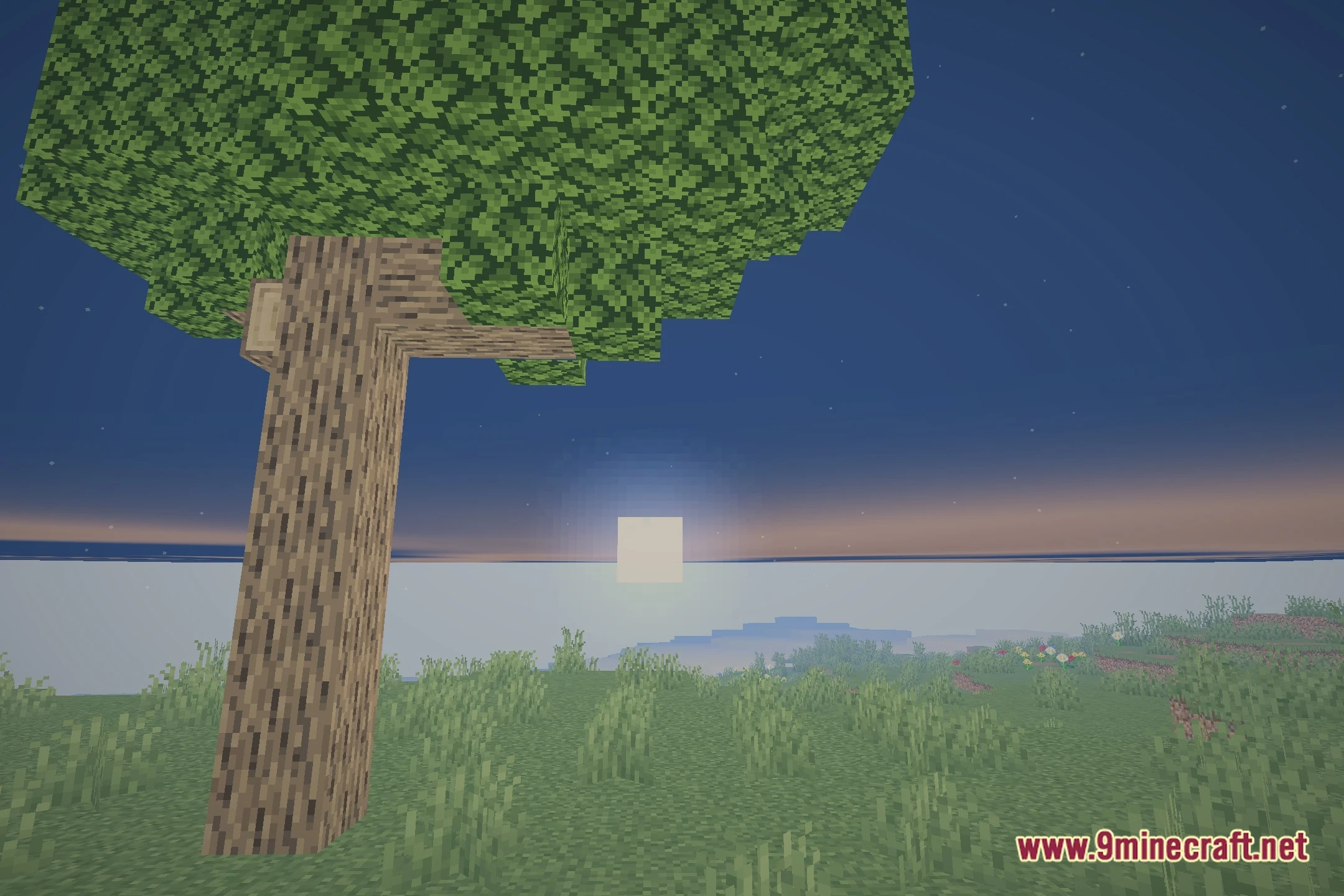 True Light Shaders (26.2, 1.20.1) – Soft Shadows for Low-End Systems — screenshot 4