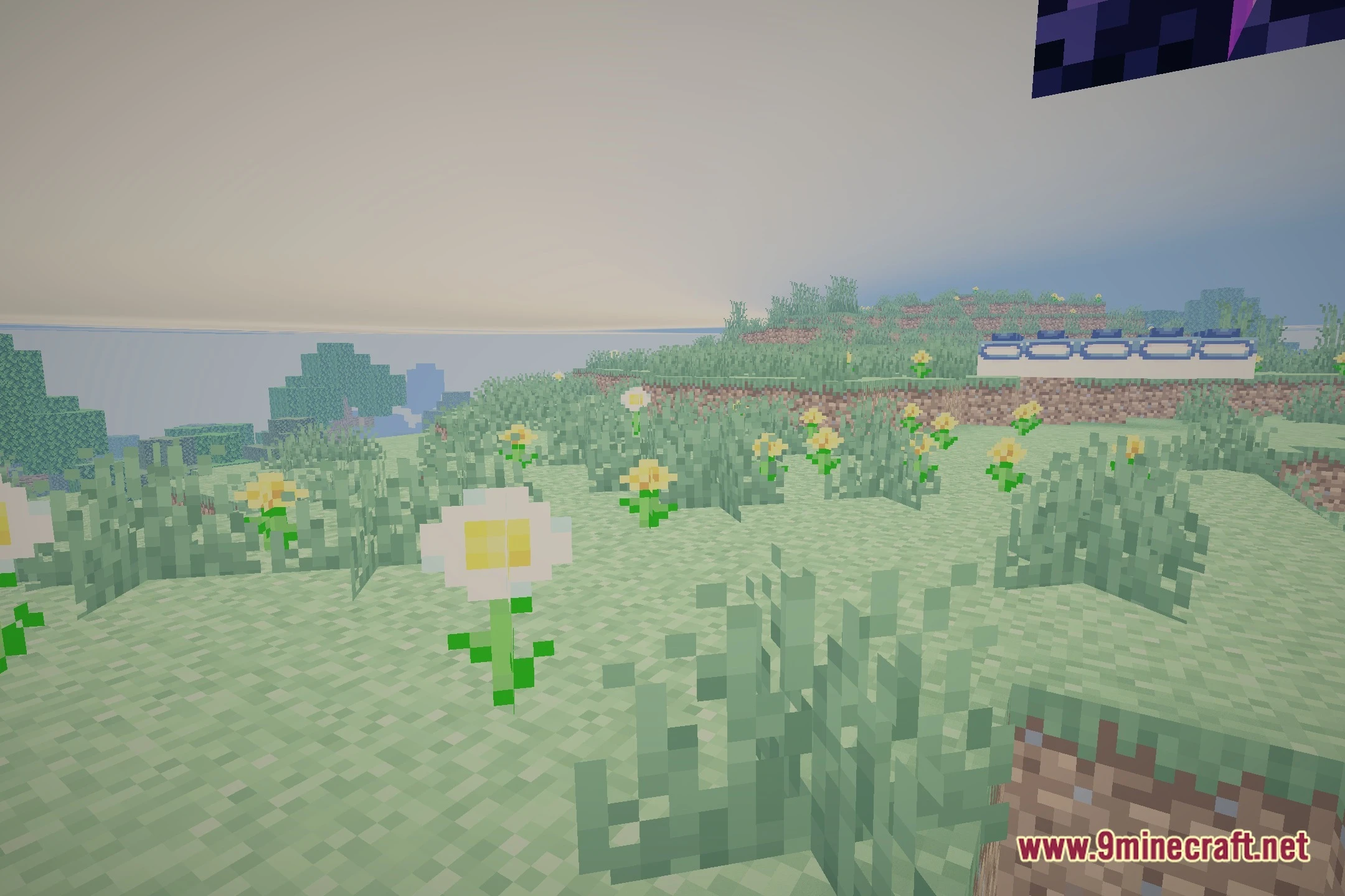 True Light Shaders (26.2, 1.20.1) – Soft Shadows for Low-End Systems — screenshot 5