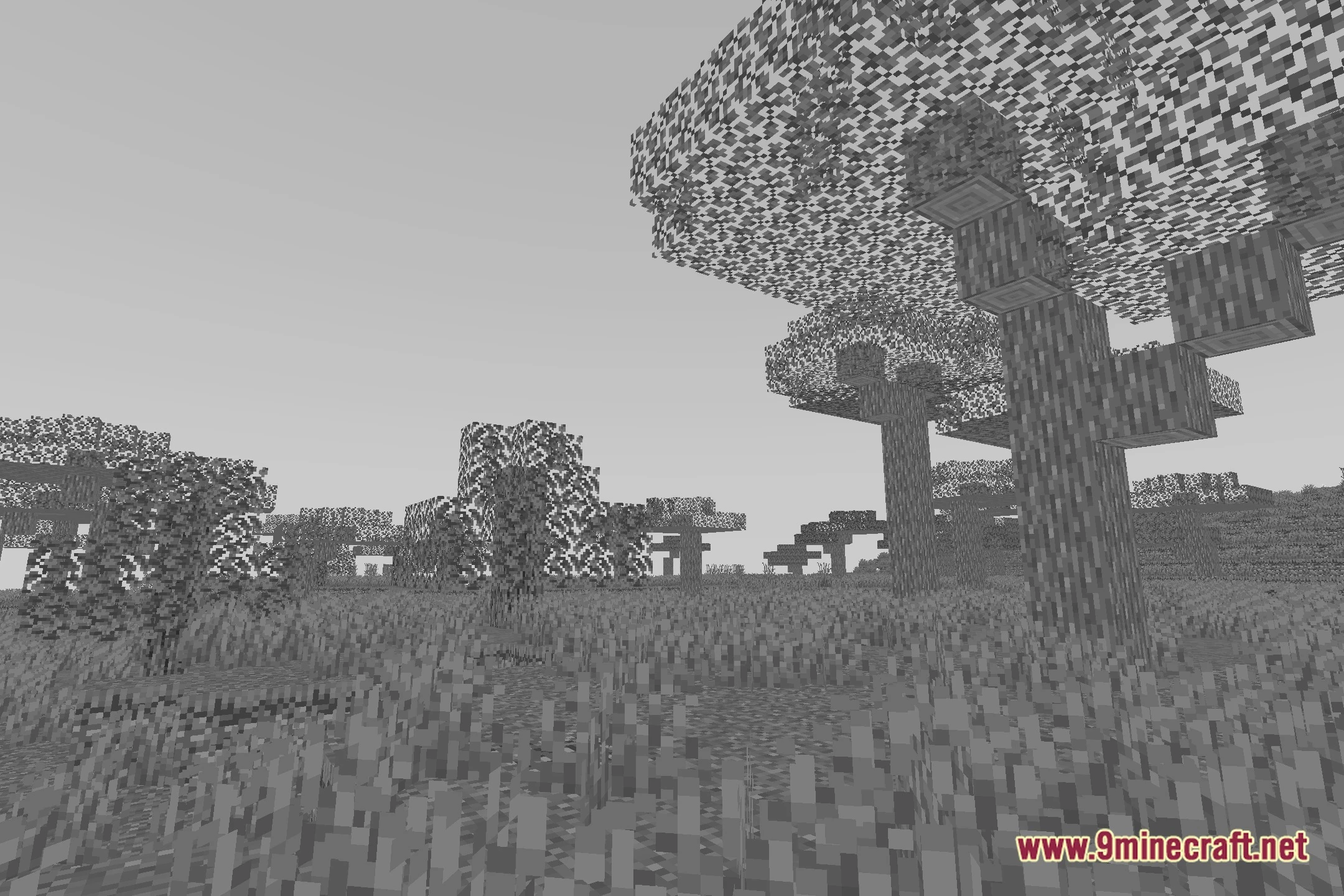 Velyra Grayscale Shaders Screenshot 9