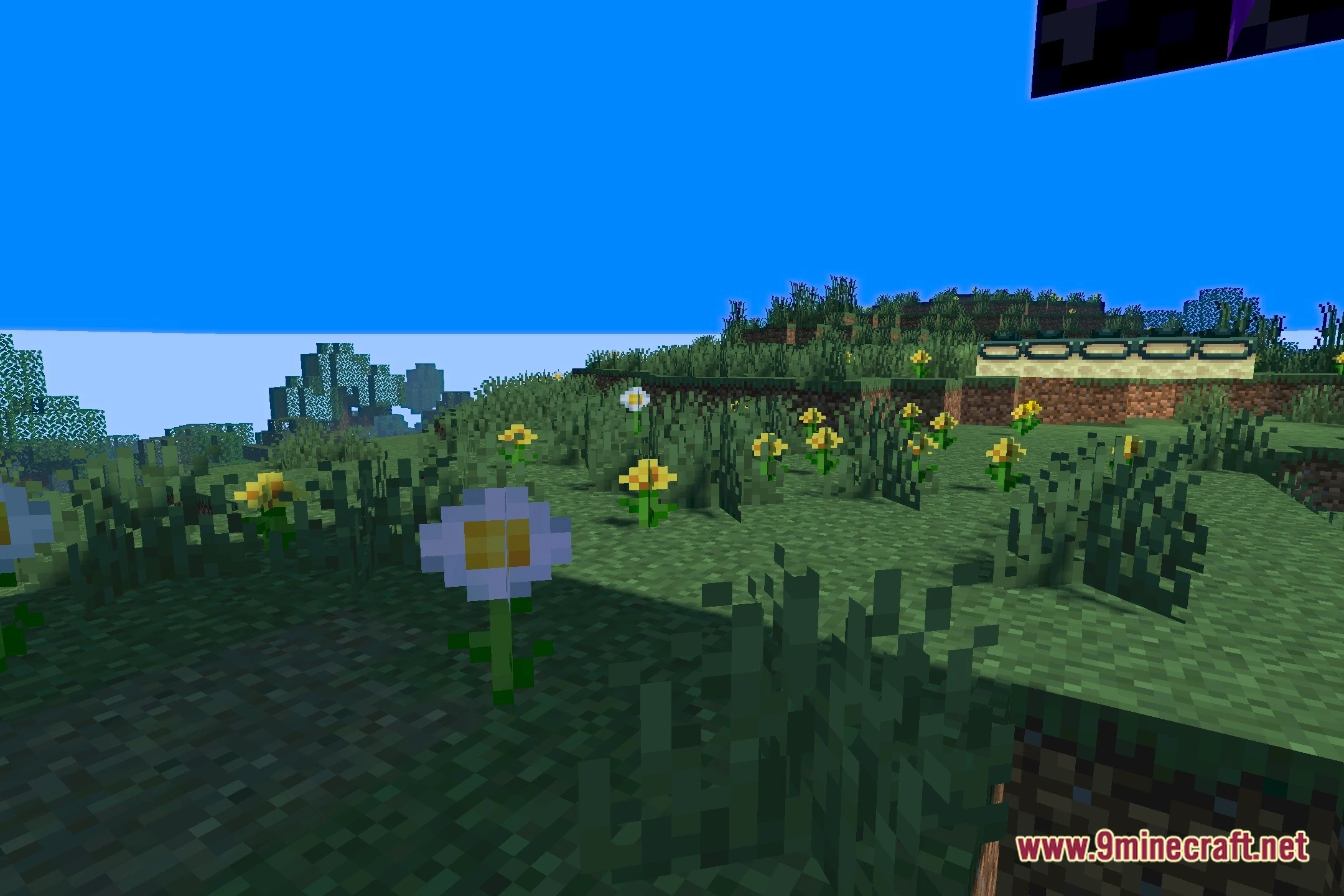 Zer0's Shaders (26.2, 1.20.1) – Clean Lighting with Soft Torch Bloom — screenshot 5
