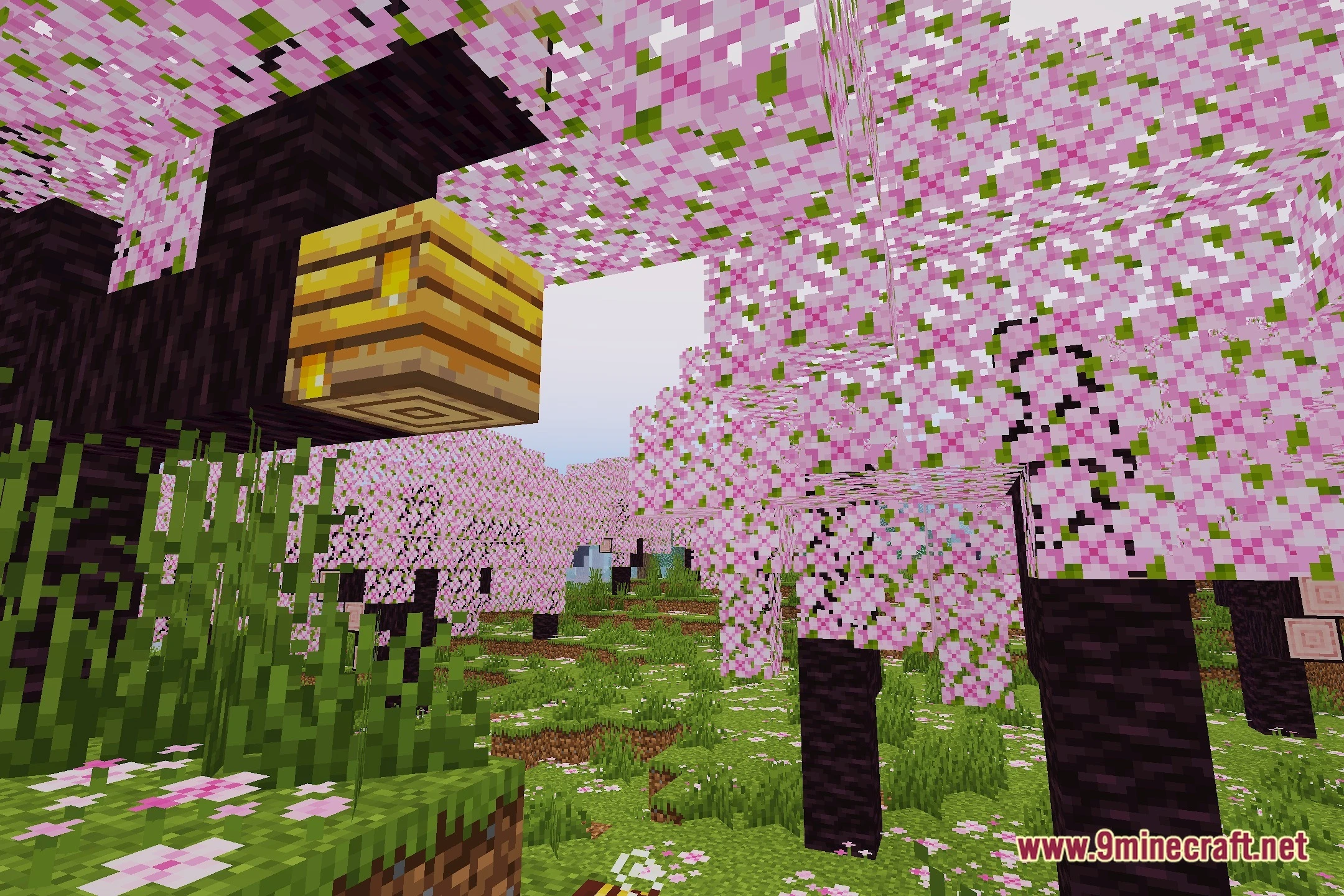 AurumLite Shaders (26.2, 1.20.1) – Soft Shadows for Low-End Hardware — screenshot 1