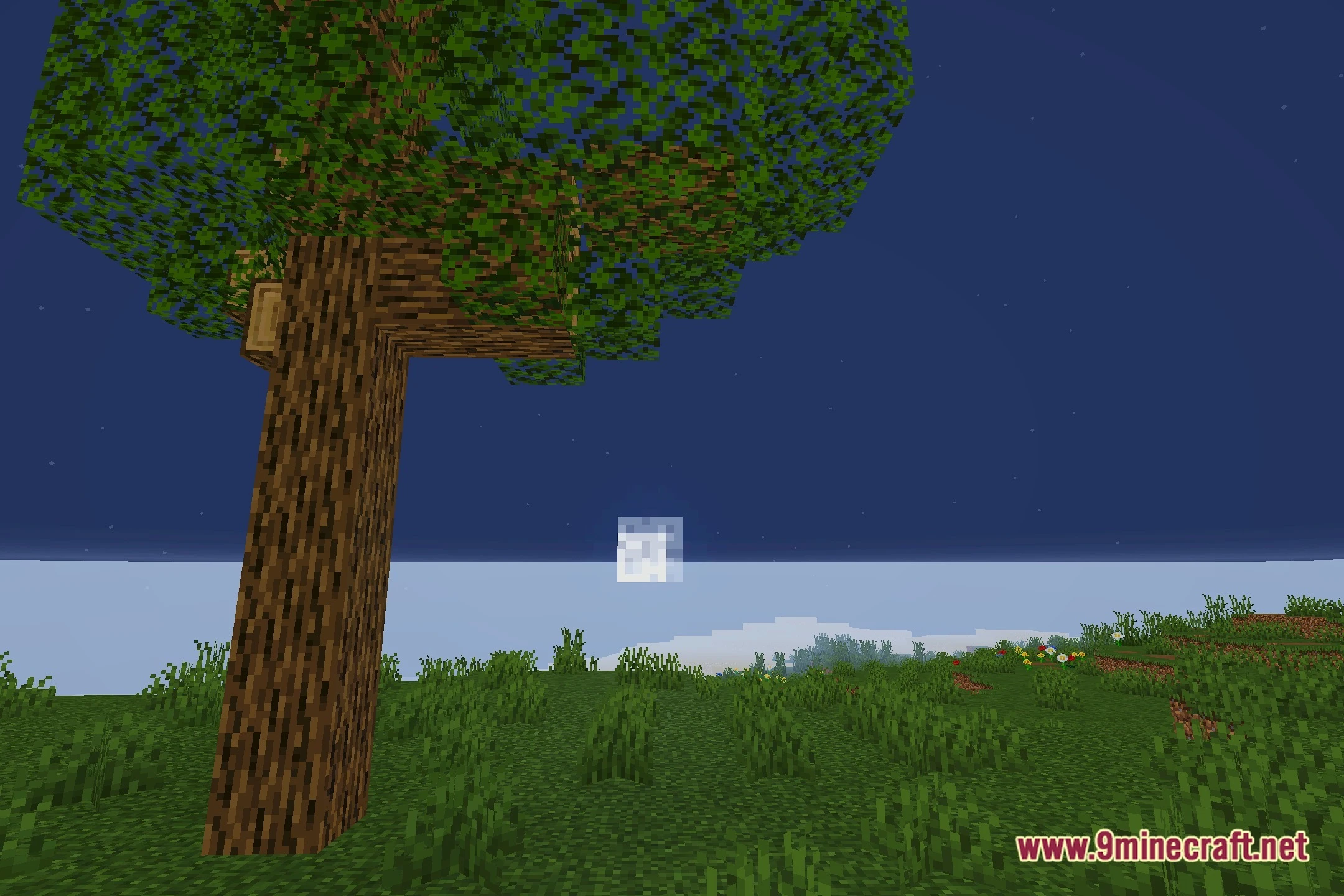 AurumLite Shaders (26.2, 1.20.1) – Soft Shadows for Low-End Hardware — screenshot 4