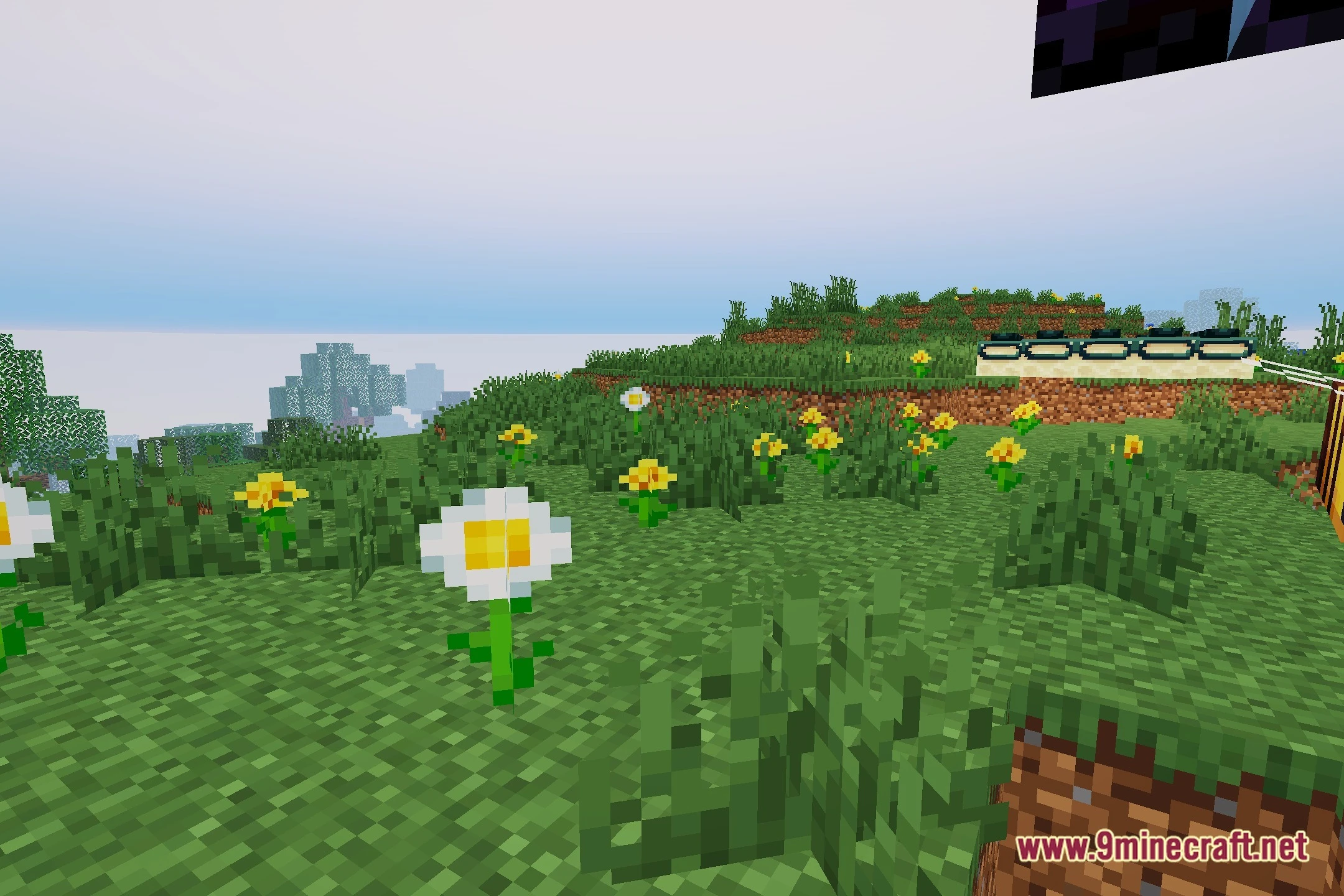 AurumLite Shaders (26.2, 1.20.1) – Soft Shadows for Low-End Hardware — screenshot 5