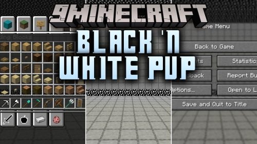 Black ‘n White PvP Resource Pack (26.1.2, 1.20.1) – Stark Crystal Arena Style