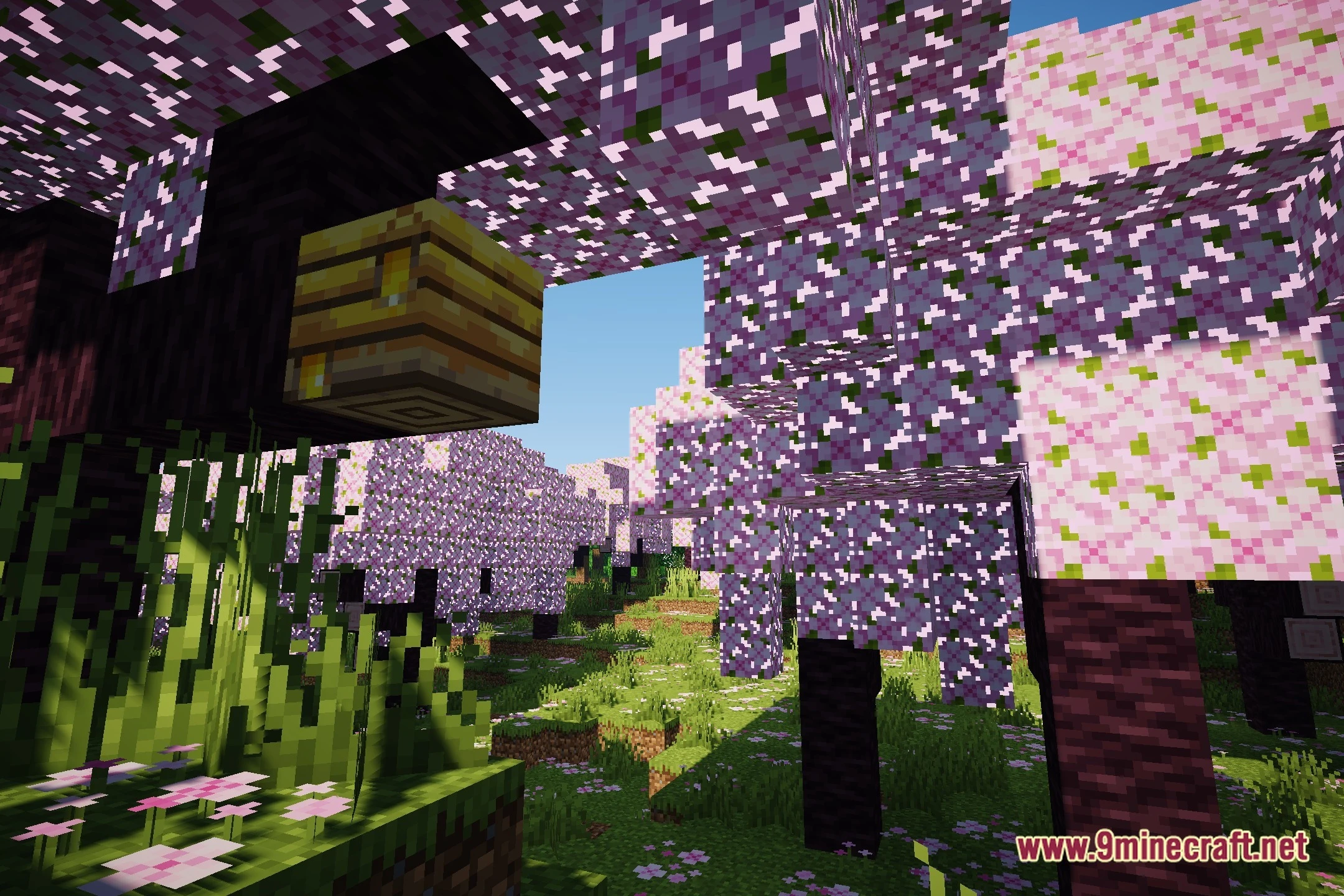 Booxyx Optimized Shaders (26.3, 1.20.1) – Subtle Reflections and Soft Shadows — screenshot 1