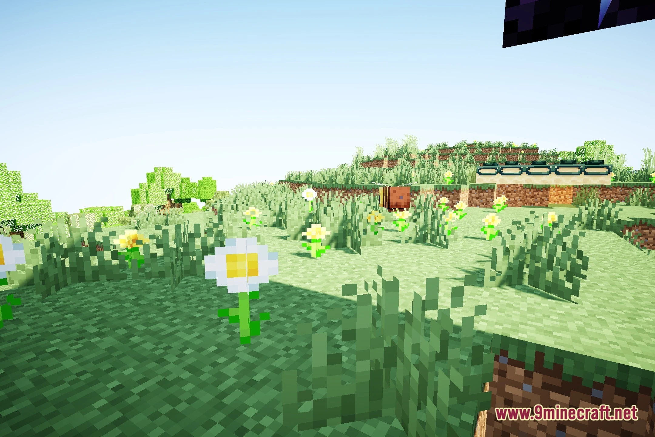 Booxyx Optimized Shaders (26.3, 1.20.1) – Subtle Reflections and Soft Shadows — screenshot 5