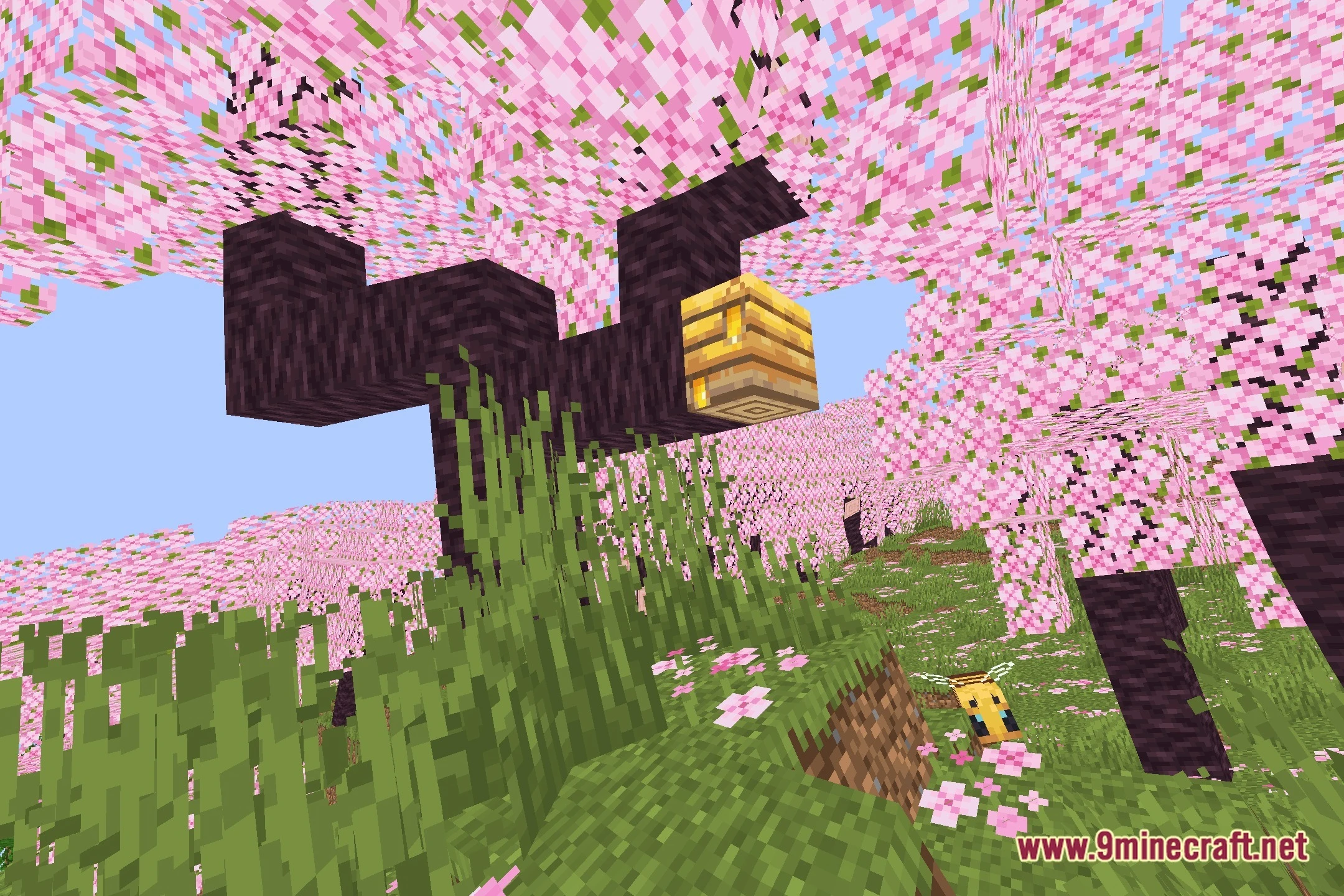 Crazy Warp Shaders (26.2, 1.20.1) – Bends Worlds with Non-Euclidean Warps — screenshot 1