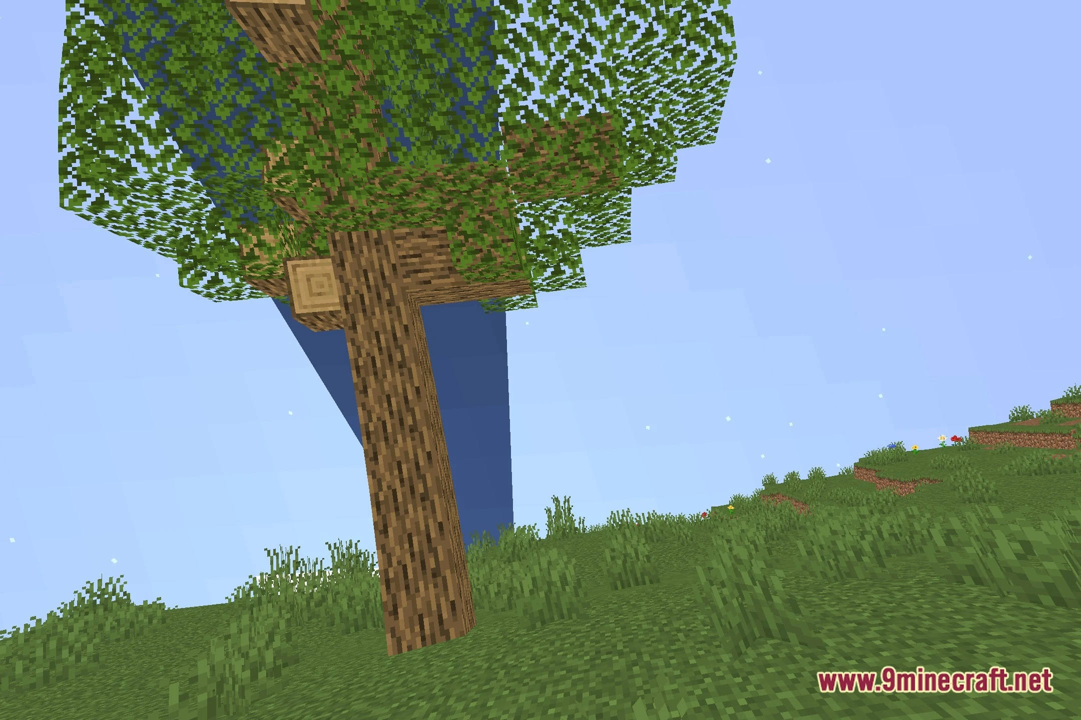 Crazy Warp Shaders (26.2, 1.20.1) – Bends Worlds with Non-Euclidean Warps — screenshot 4