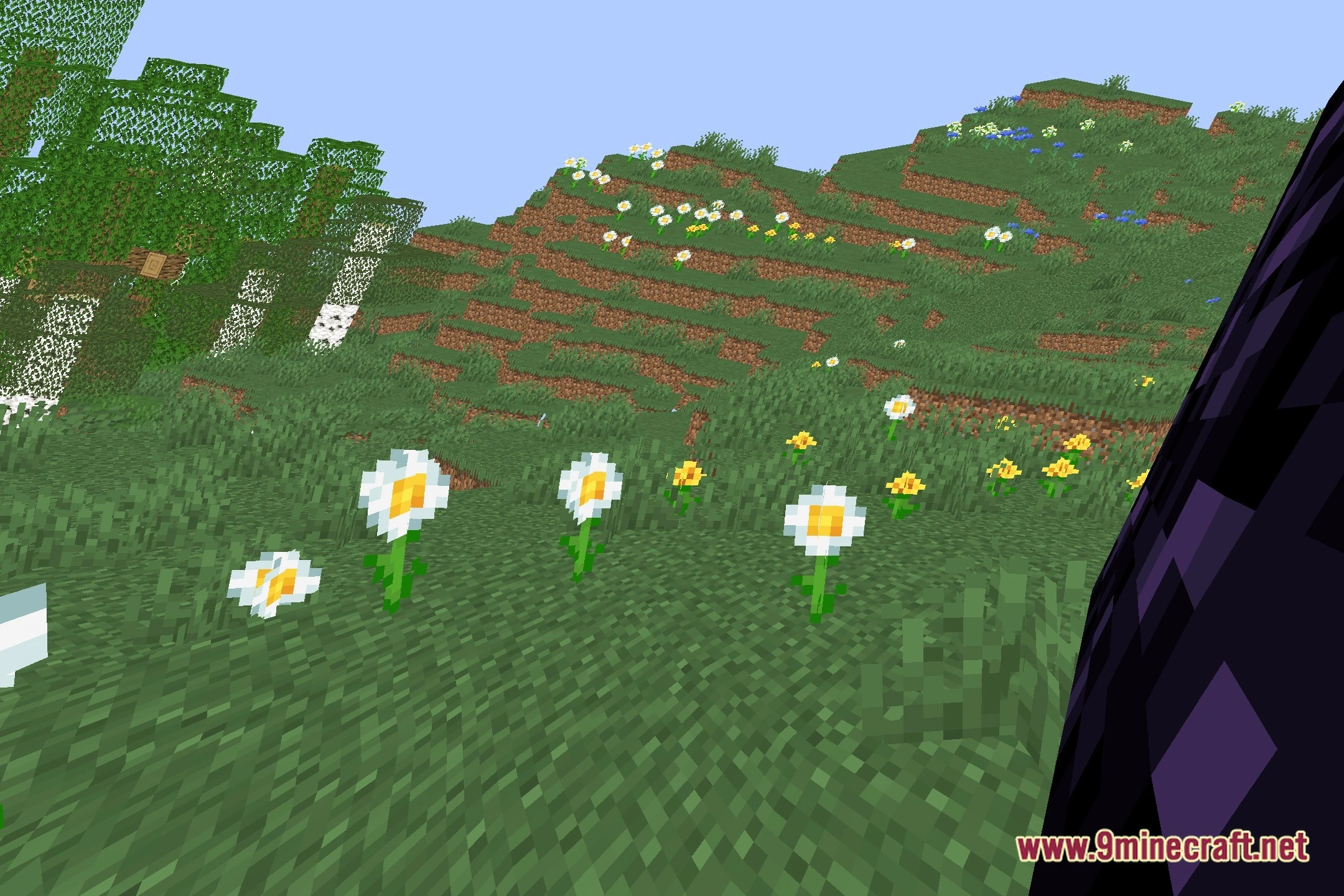 Crazy Warp Shaders (26.2, 1.20.1) – Bends Worlds with Non-Euclidean Warps — screenshot 5