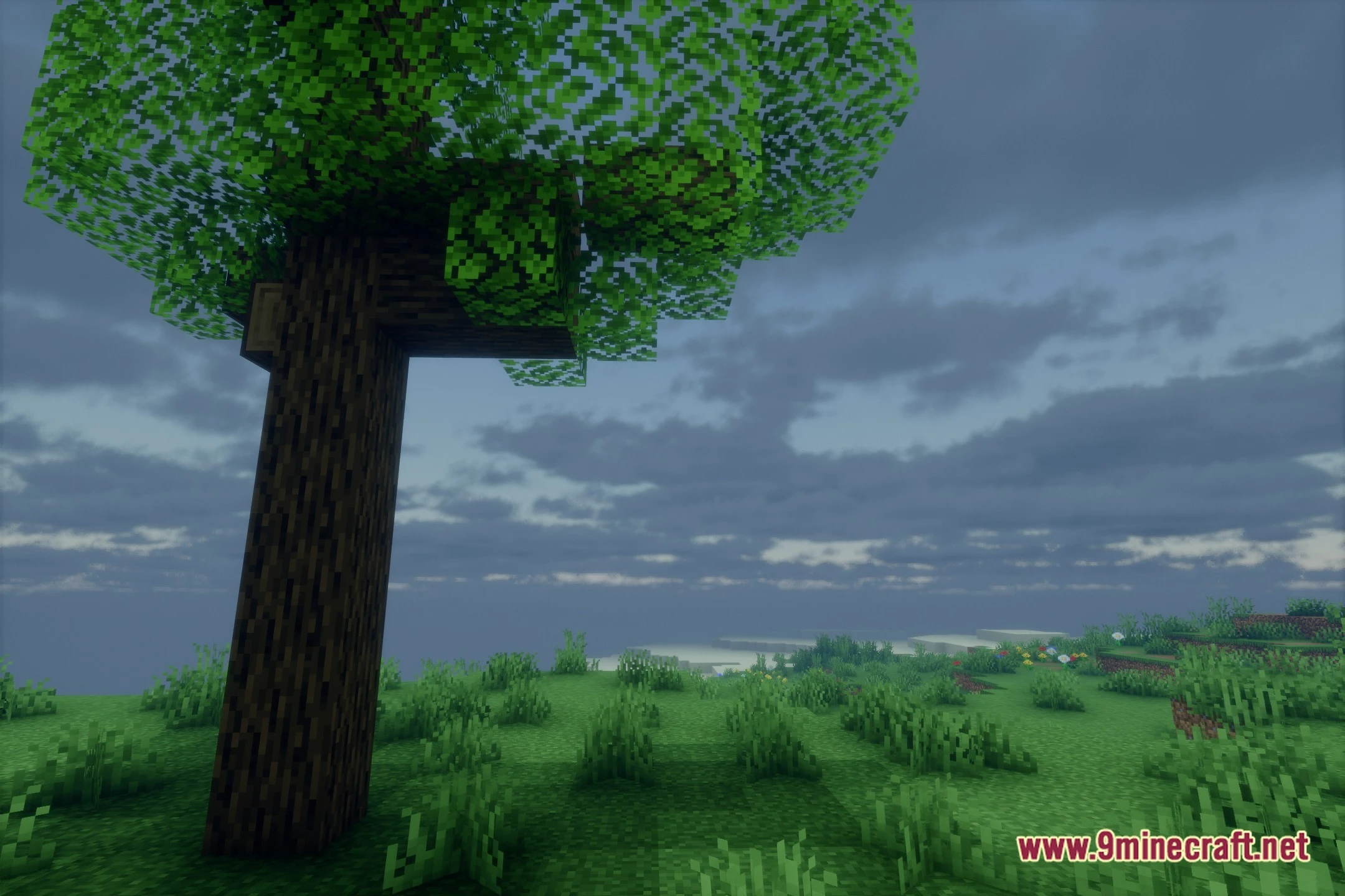 Evelite Shaders (26.2, 1.20.1) – Volumetric Lighting and Sharp Shadows — screenshot 4
