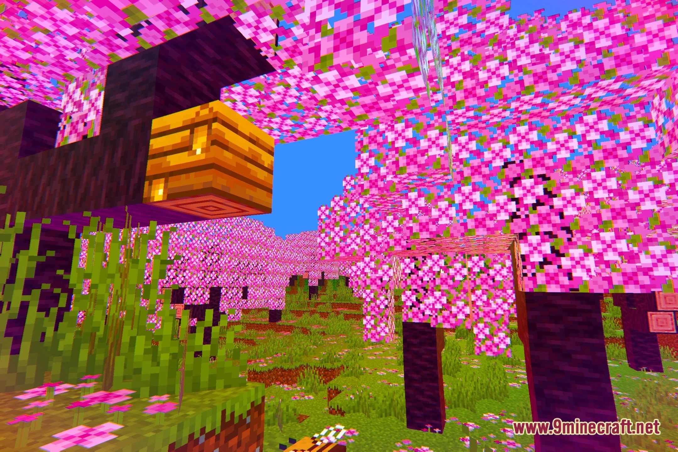 Hallecu Shaders (26.2, 1.20.1) – Surreal Visuals and Distorted Effects — screenshot 1