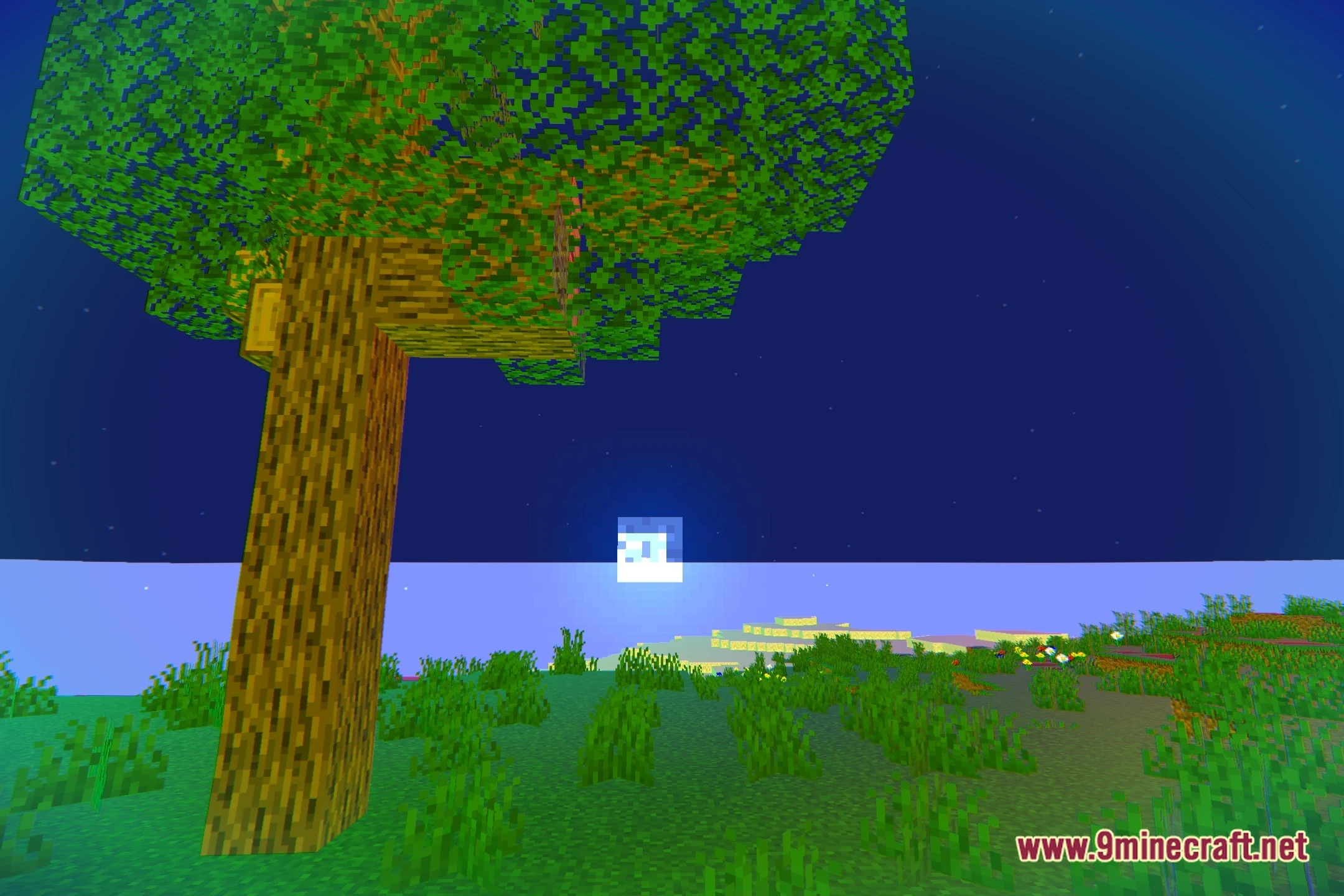 Hallecu Shaders (26.2, 1.20.1) – Surreal Visuals and Distorted Effects — screenshot 4