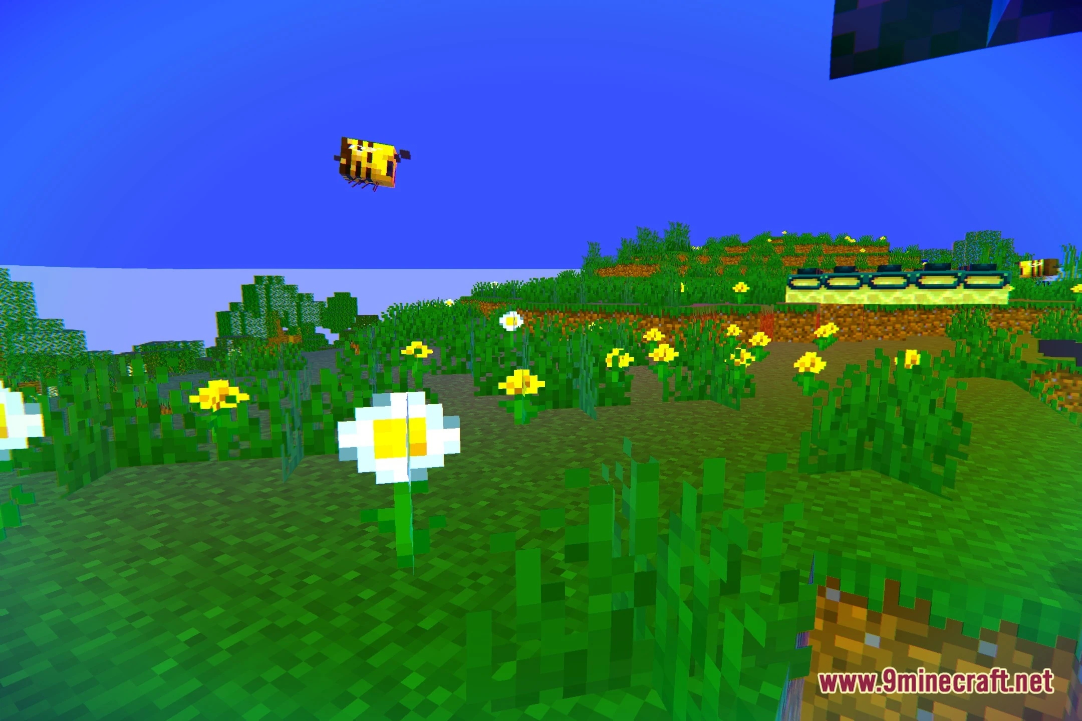 Hallecu Shaders (26.2, 1.20.1) – Surreal Visuals and Distorted Effects — screenshot 5