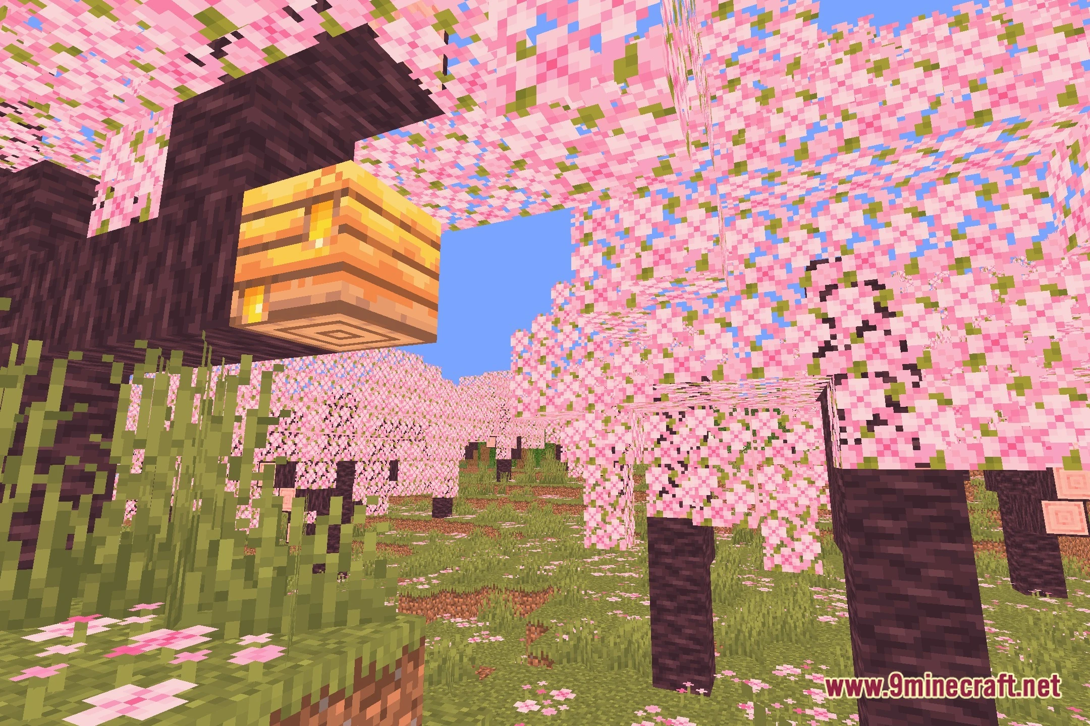 Lighter Game Shaders (26.2, 1.20.1) – Warm Lighting and Soft Shadows — screenshot 1