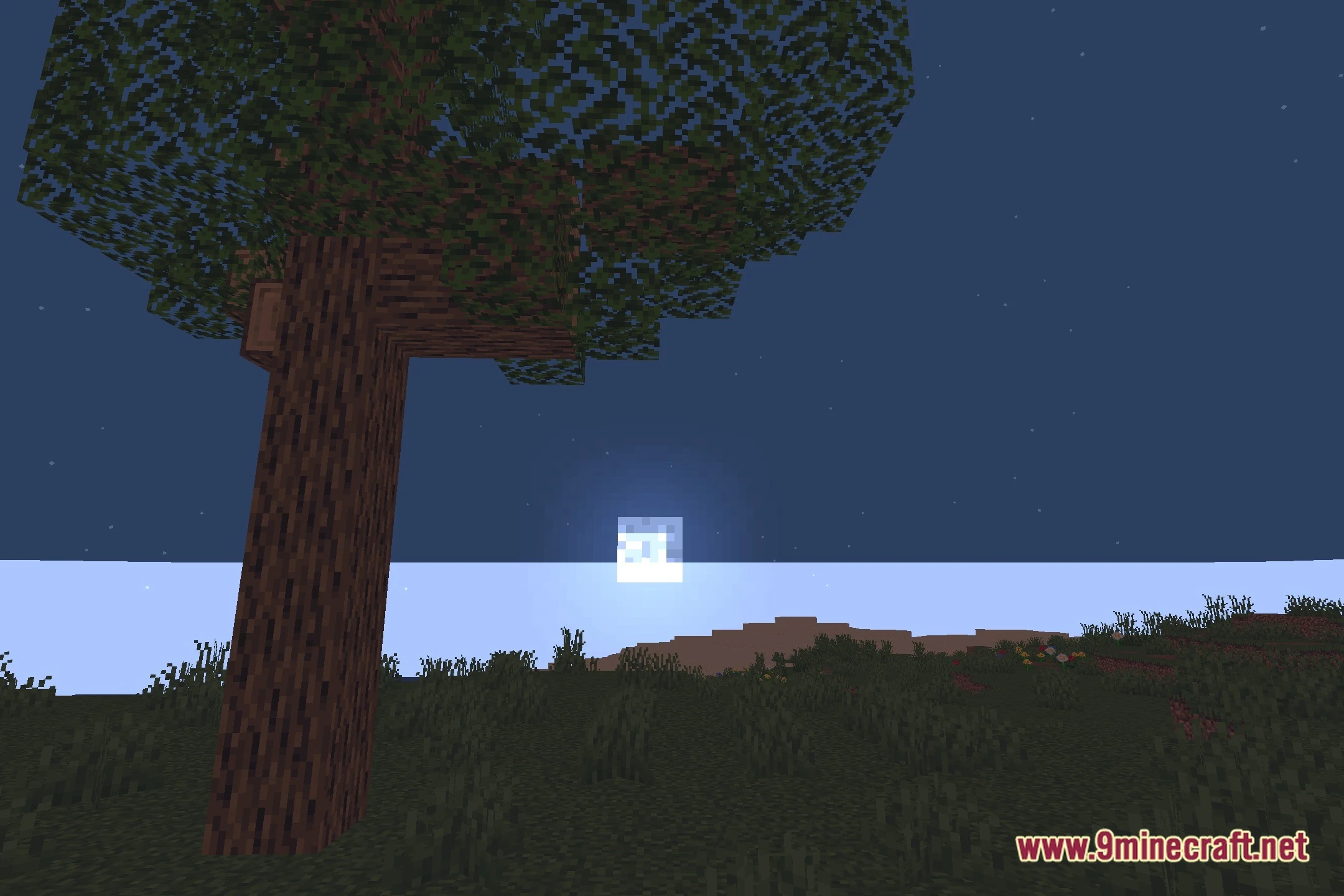 Lighter Game Shaders (26.2, 1.20.1) – Warm Lighting and Soft Shadows — screenshot 4