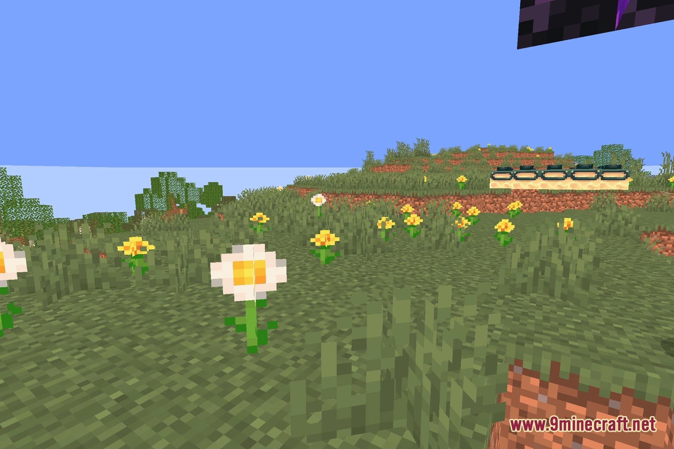 Lighter Game Shaders (26.2, 1.20.1) – Warm Lighting and Soft Shadows — screenshot 5