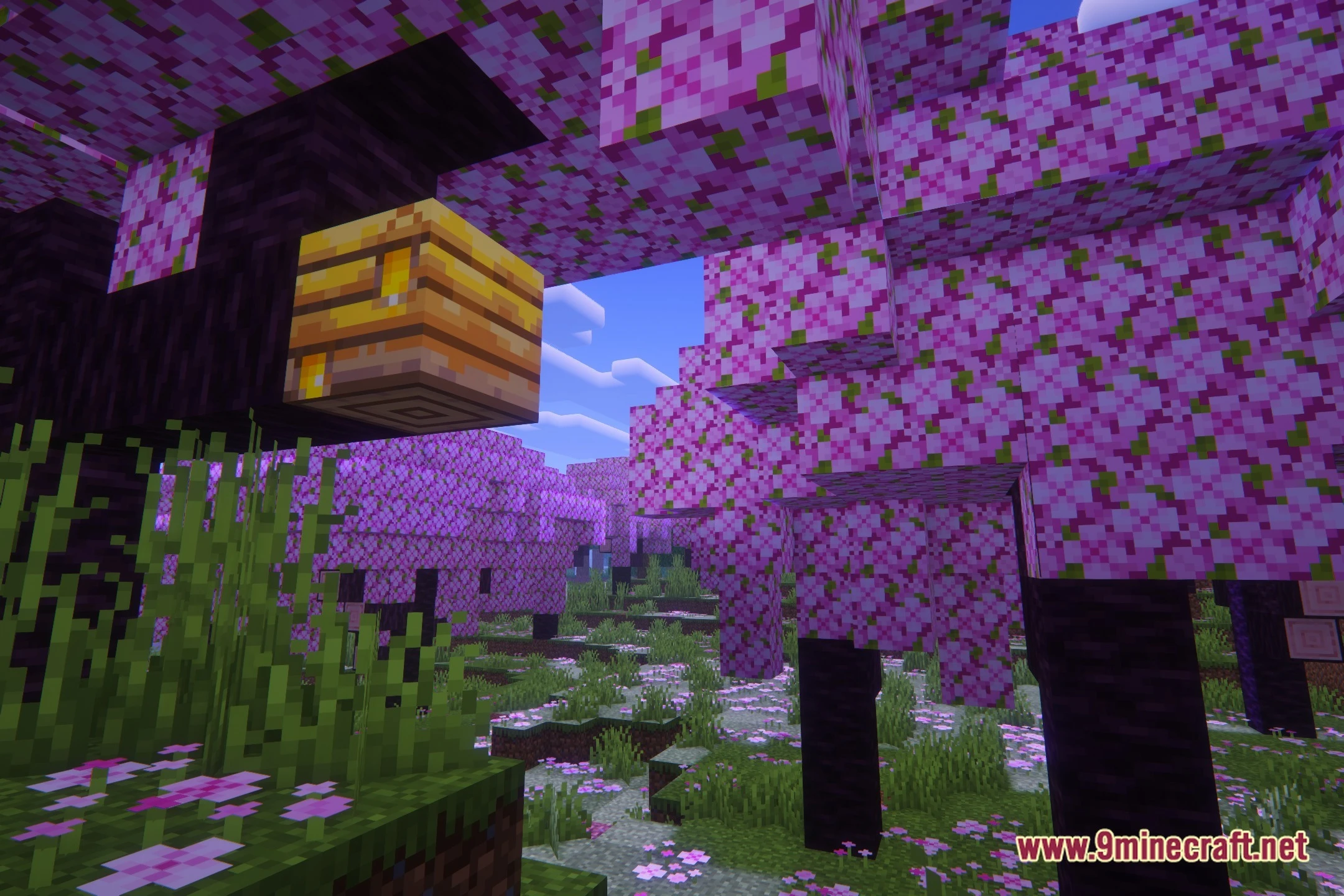 Lively Magic Shaders (26.2, 1.20.1) – Colored Lighting and PBR Textures — screenshot 1