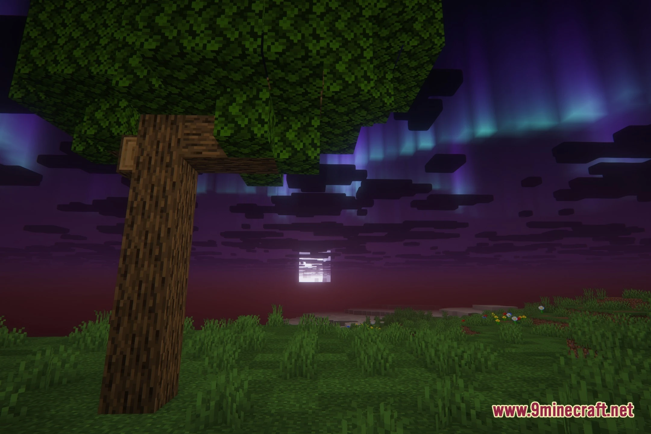 Lively Magic Shaders (26.2, 1.20.1) – Colored Lighting and PBR Textures — screenshot 4