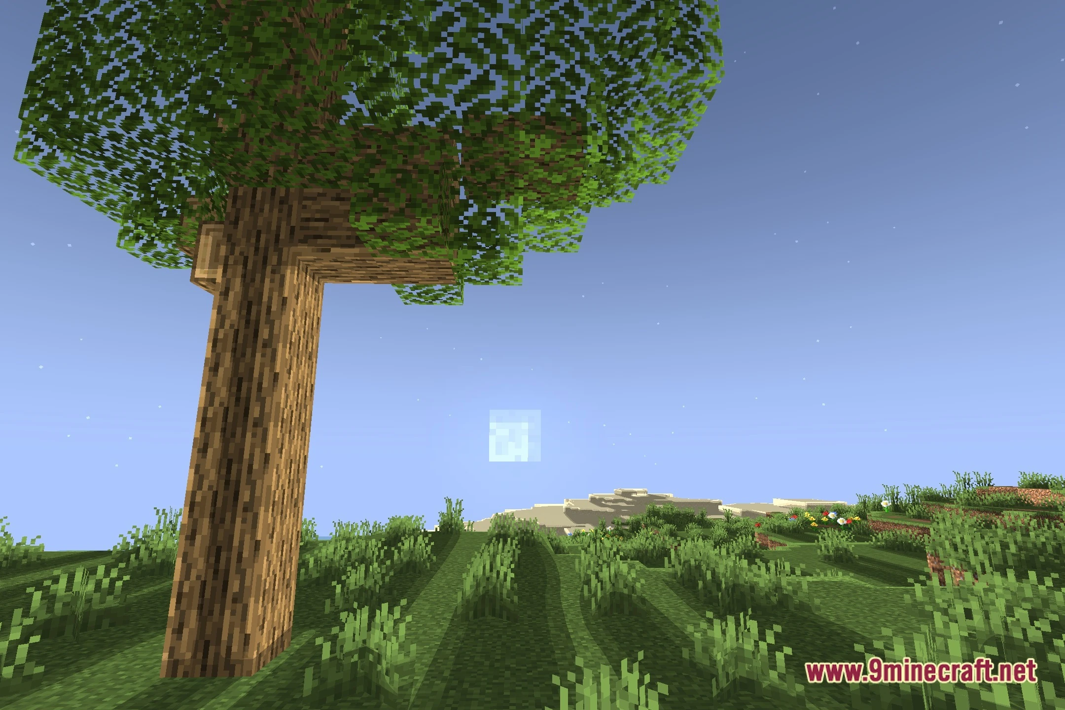 Prismatic Shaders (26.2, 1.20.1) – Glossy Surface Reflections and Shadows — screenshot 4