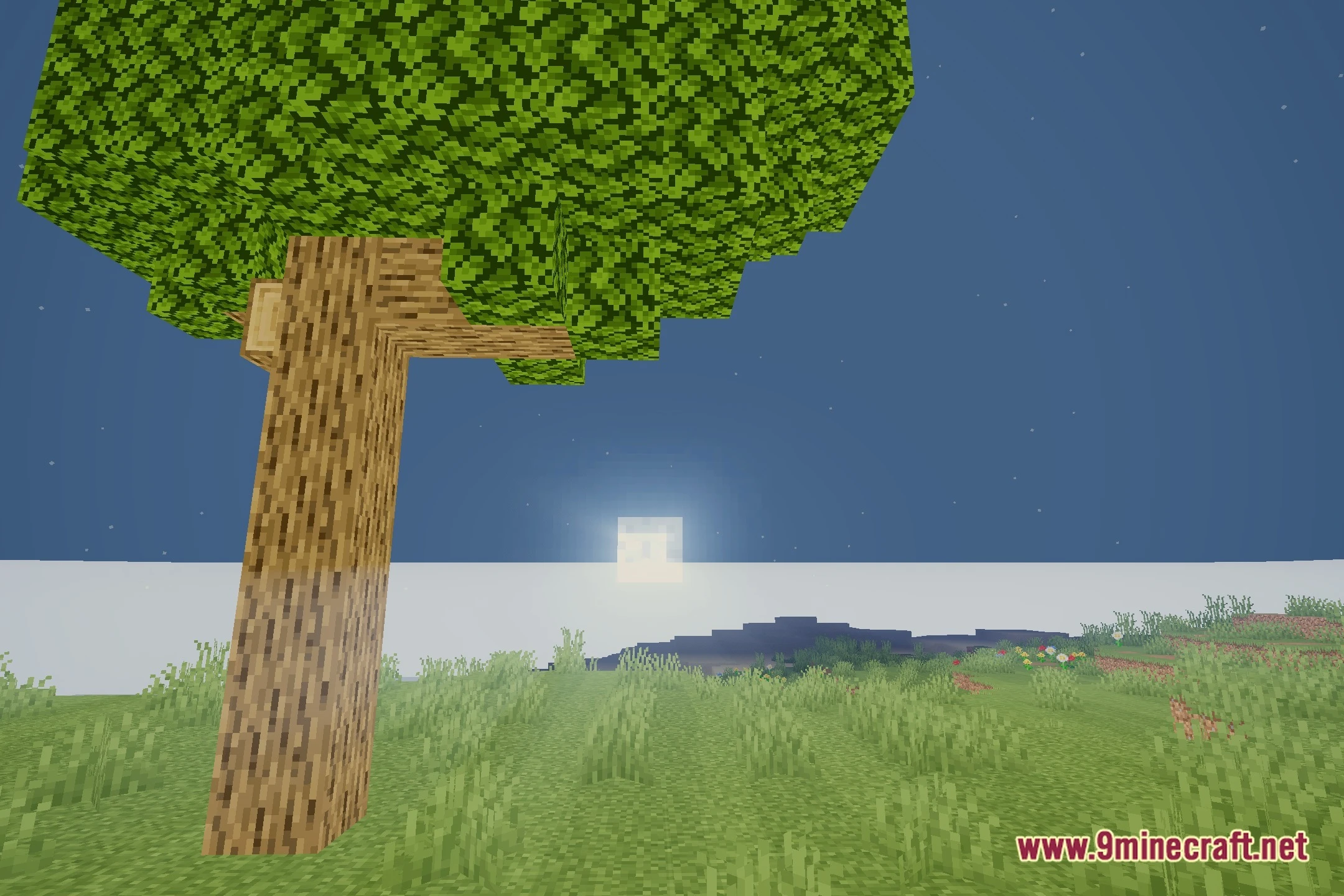 SimplifyShaderPack Shaders (26.2, 1.20.1) – Soft Ambient Lighting and Shadows — screenshot 4