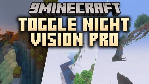 Toggle Night Vision Pro Shader (26.x, 1.21) - Switchable Night Vision