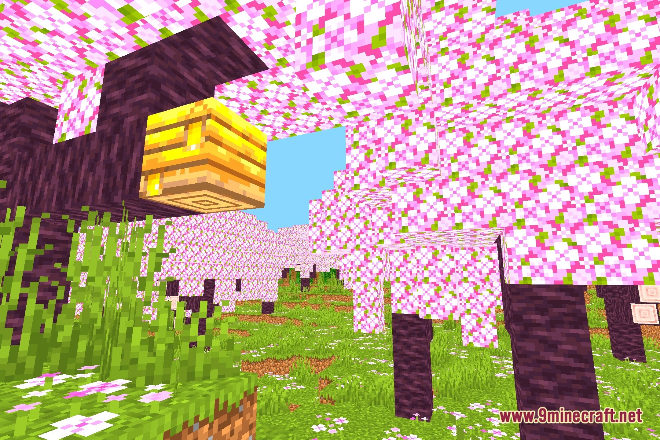 Colorful Life Shaders Screenshot 1