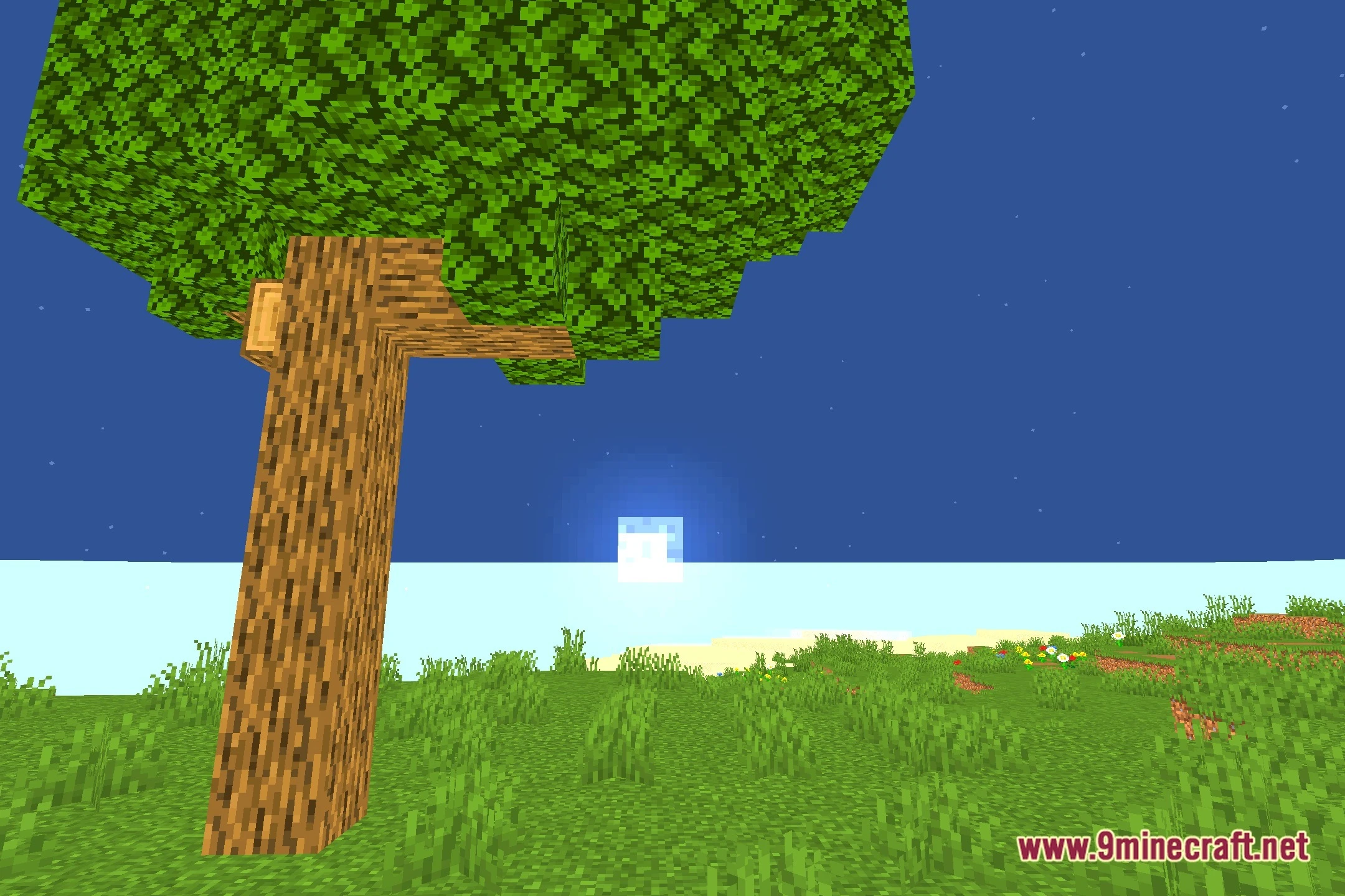 Colorful Life Shaders Screenshot 4
