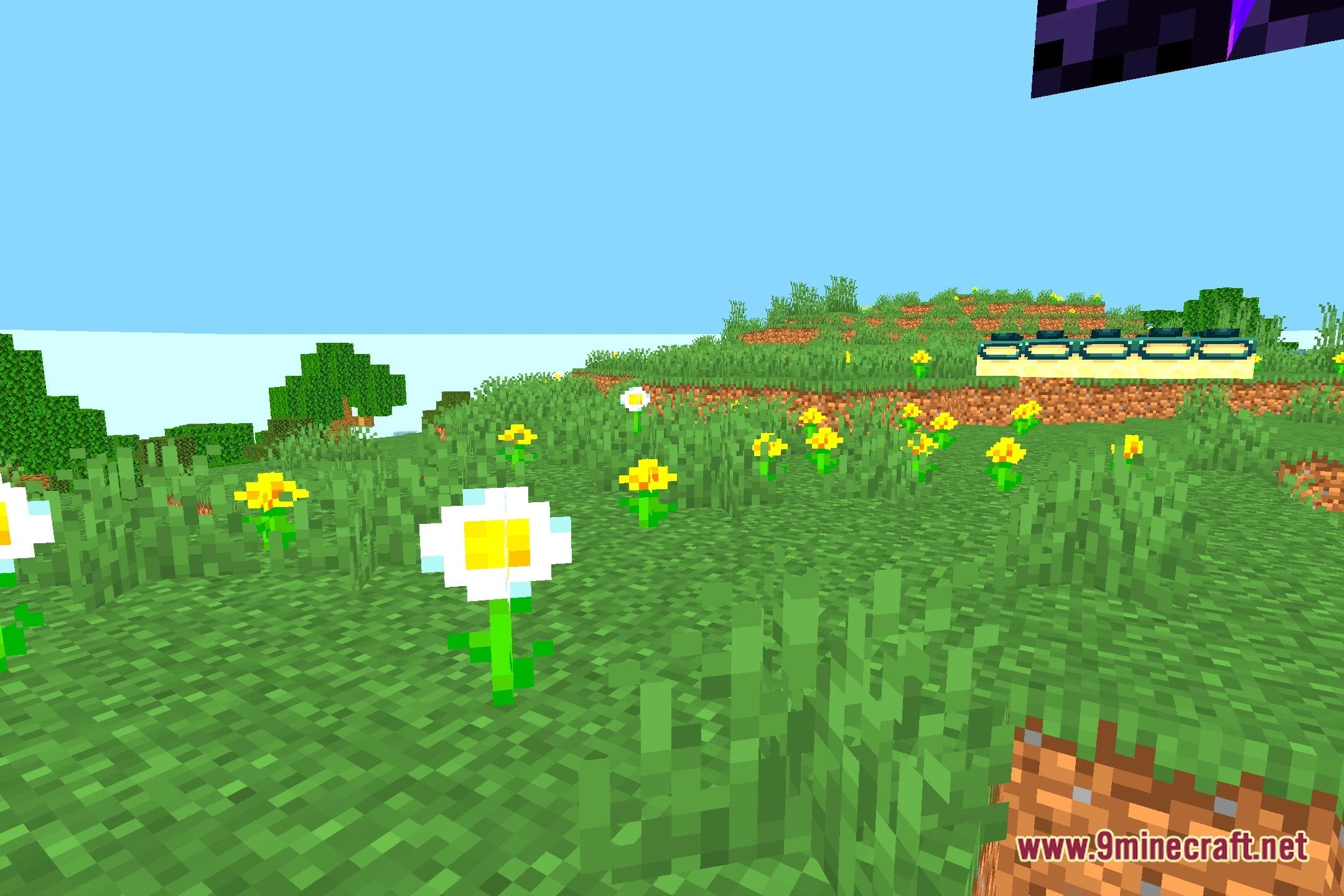 Colorful Life Shaders Screenshot 5